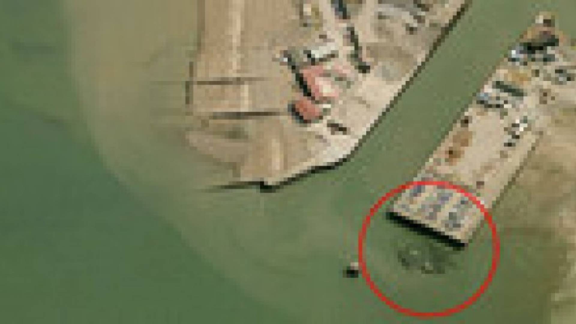 صورة لسرطان عملاق طوله 15 مترا في المياه البريطانية