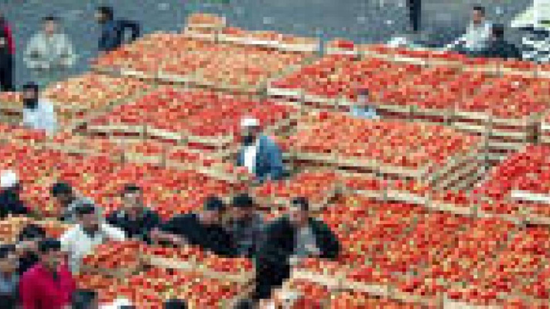 707 آلاف طن صادرات الخضار والفواكه منذ بداية العام
