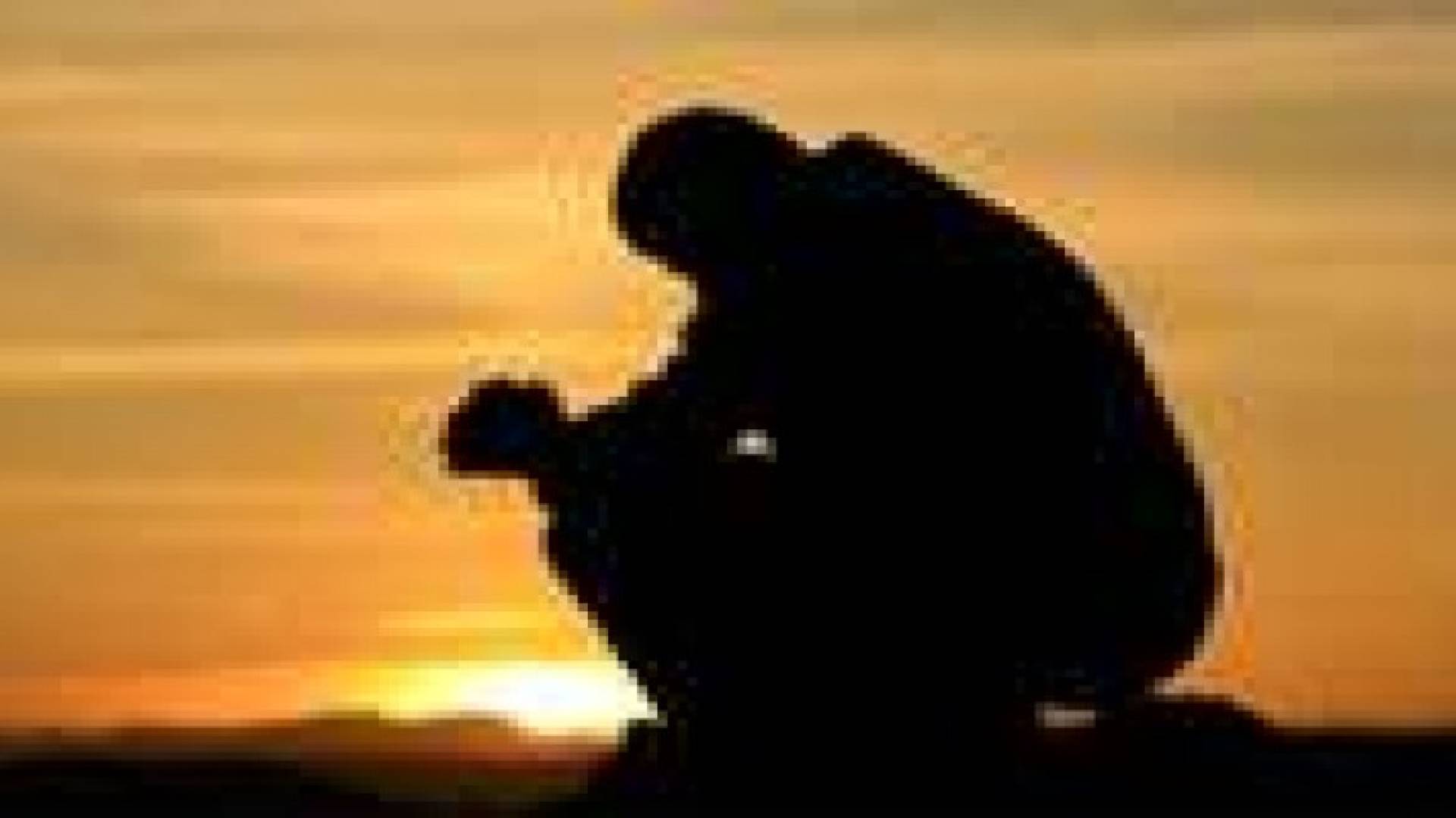 عدد الرجال العازبين يرتفع 65% خلال عقد ونصف