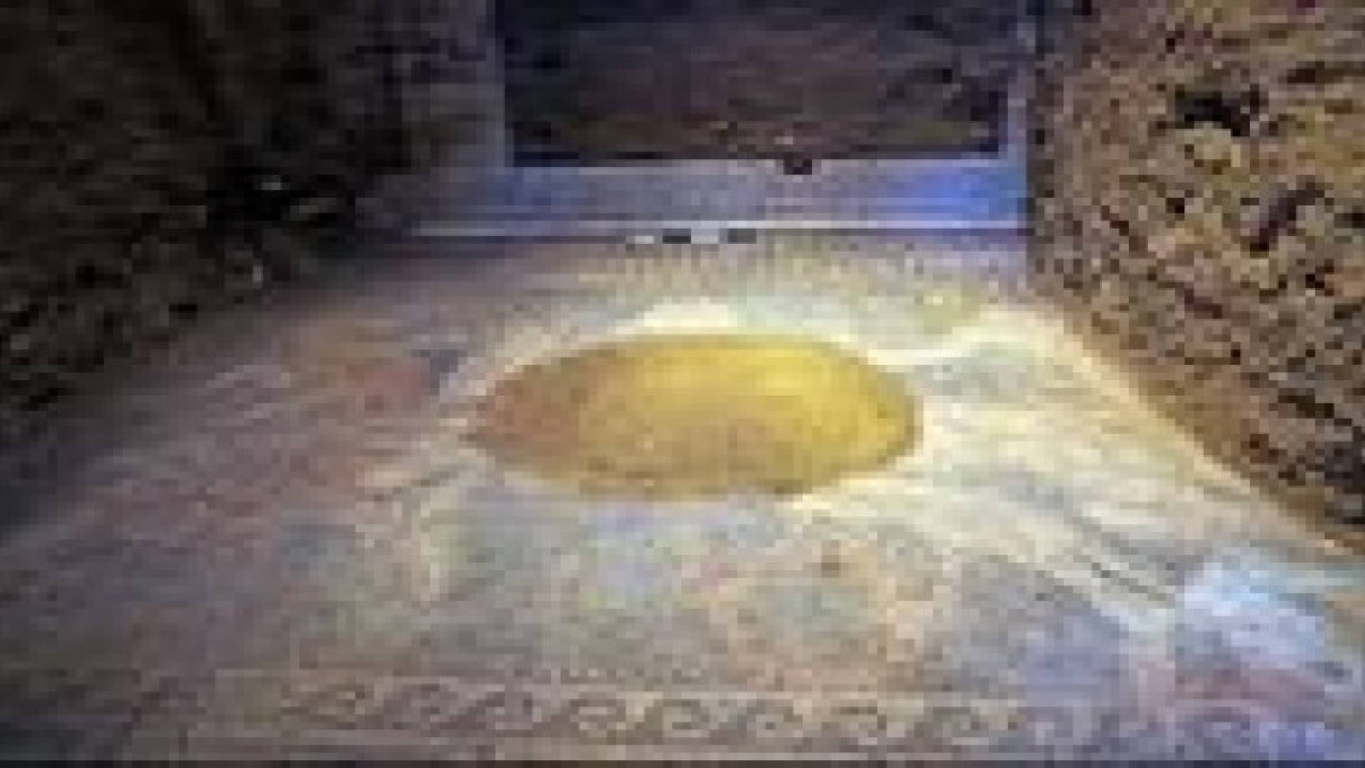 اكتشاف فسيفساء عائدة لزمن الاسكندر المقدوني