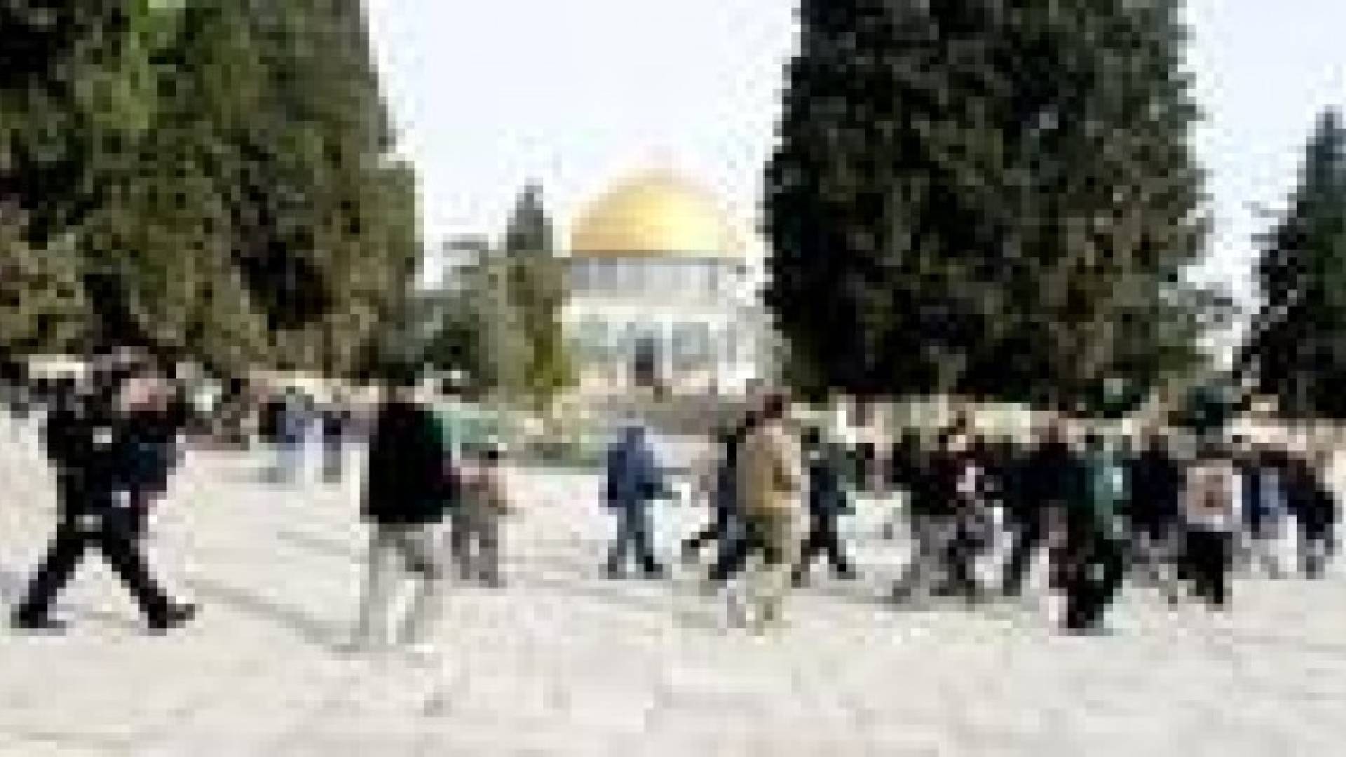 مستوطنون يعتدون على شابين فلسطينيين فى القدس المحتلة