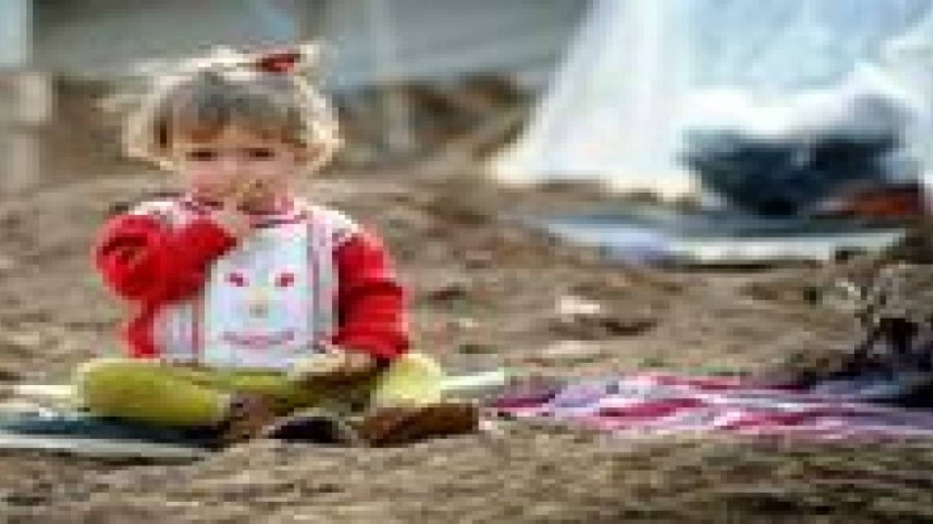 51 بالمائة من اللاجئين السوريين في المملكة بسن الطفولة