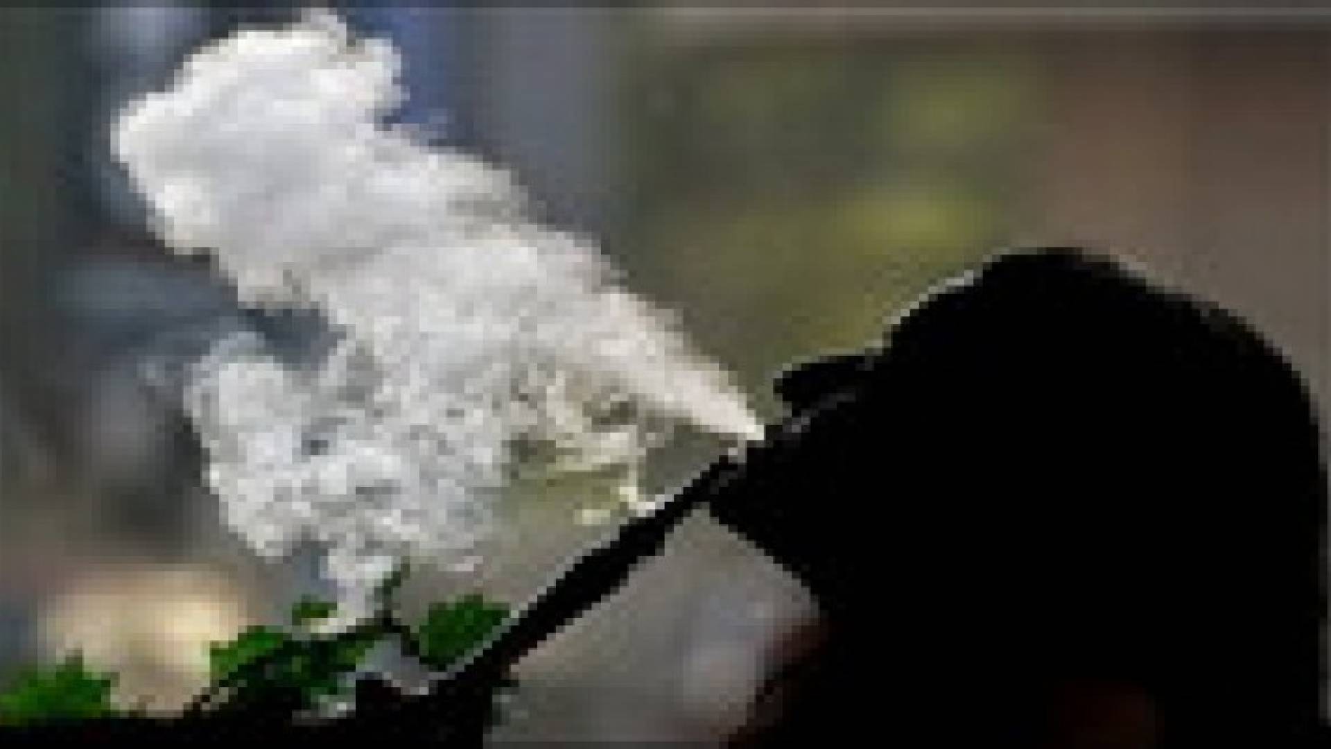 دراسة : آثار مدمرة لـ " الأرجيلة " يجهلها معظم الناس