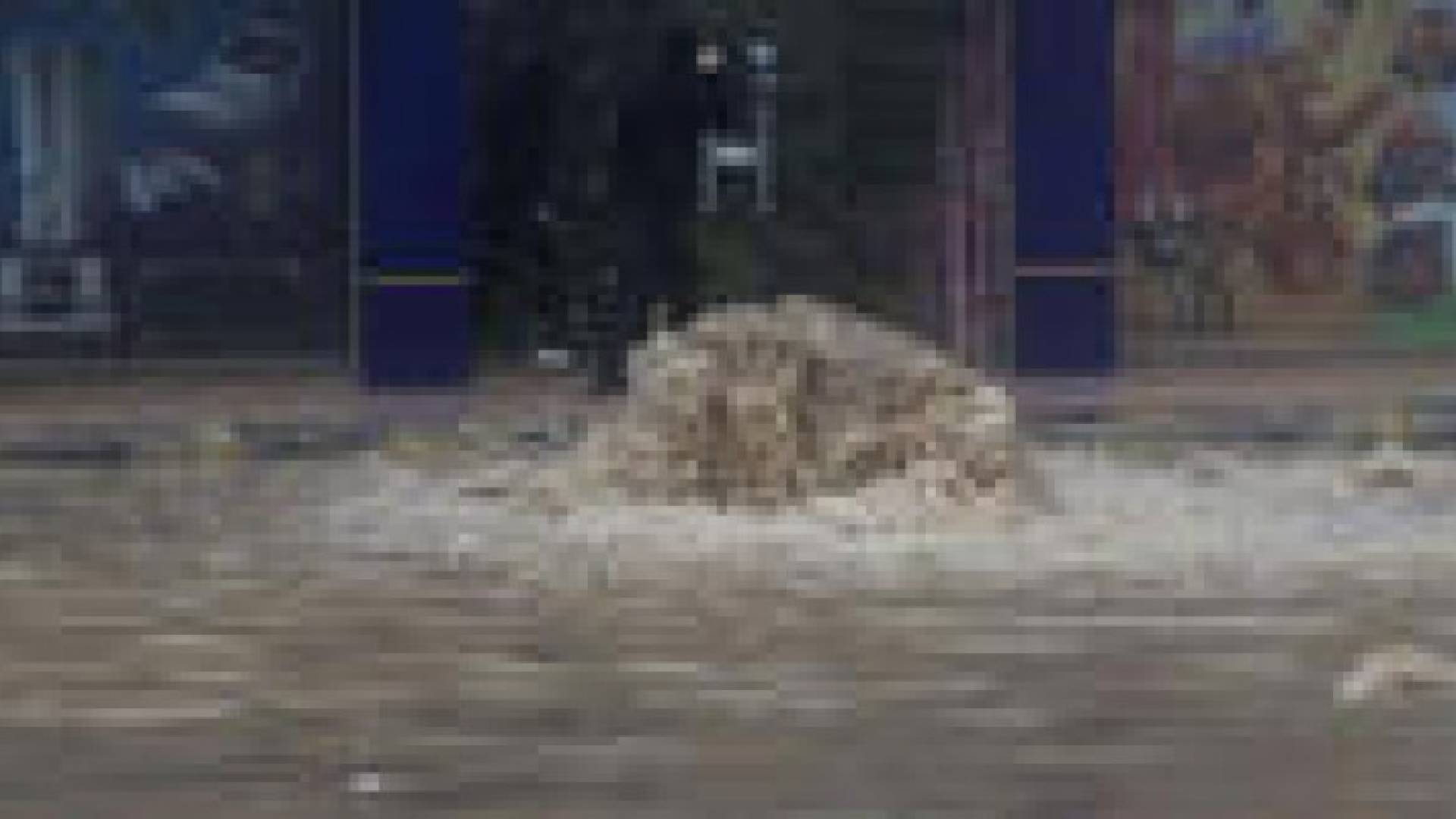 أمانة عمان: منع ربط مزاريب مياه الأمطار بـالصرف الصحي