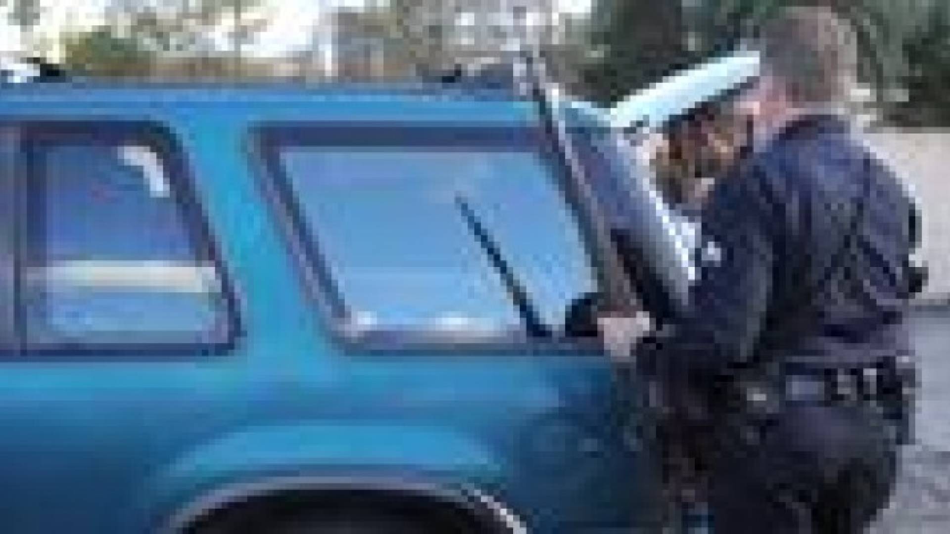 دب يلتهم "جثة رجل" بولاية كاليفورنيا