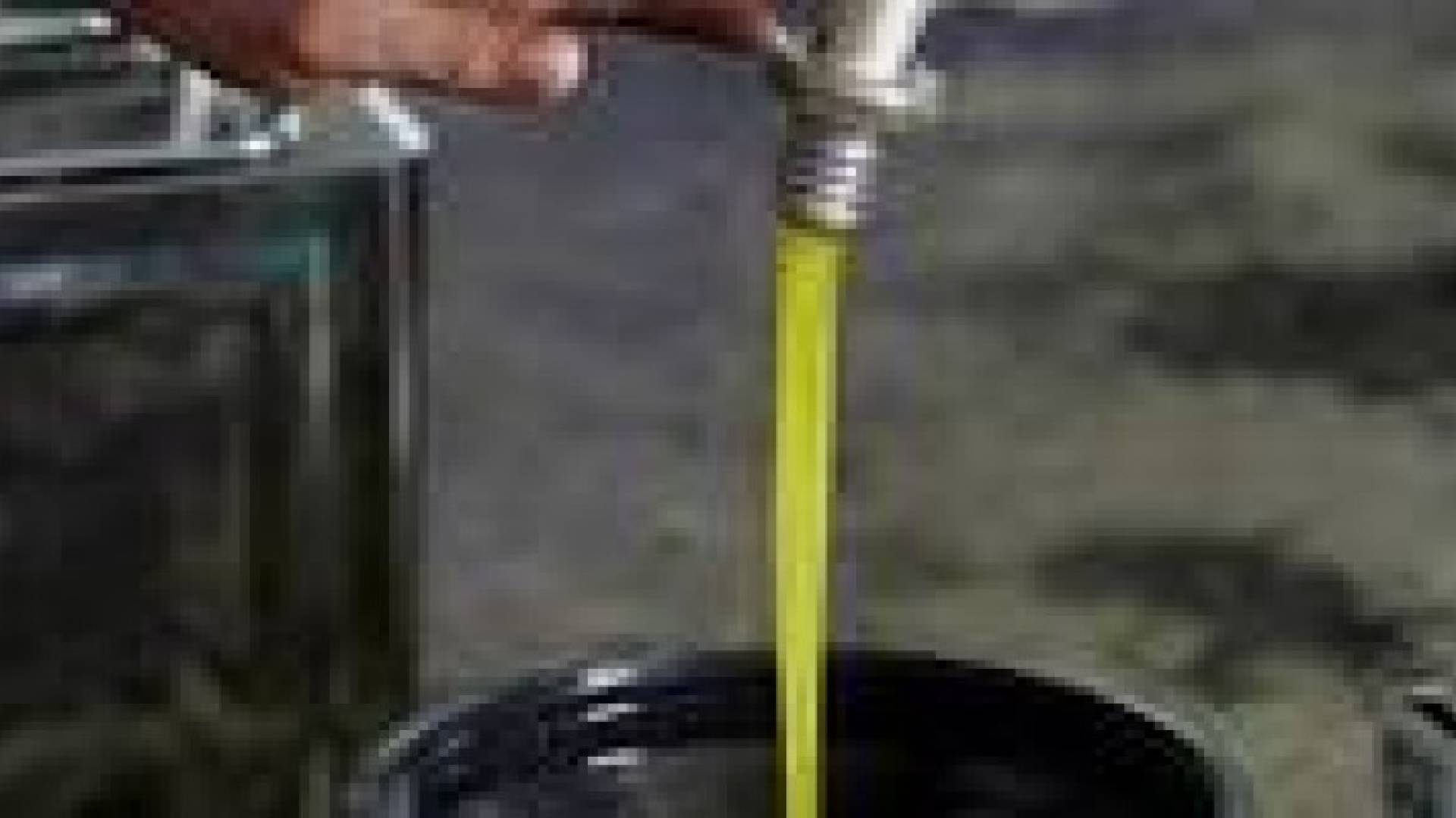 توقعات بانتاج 180 الف طن ثمار زيتون الموسم الحالي