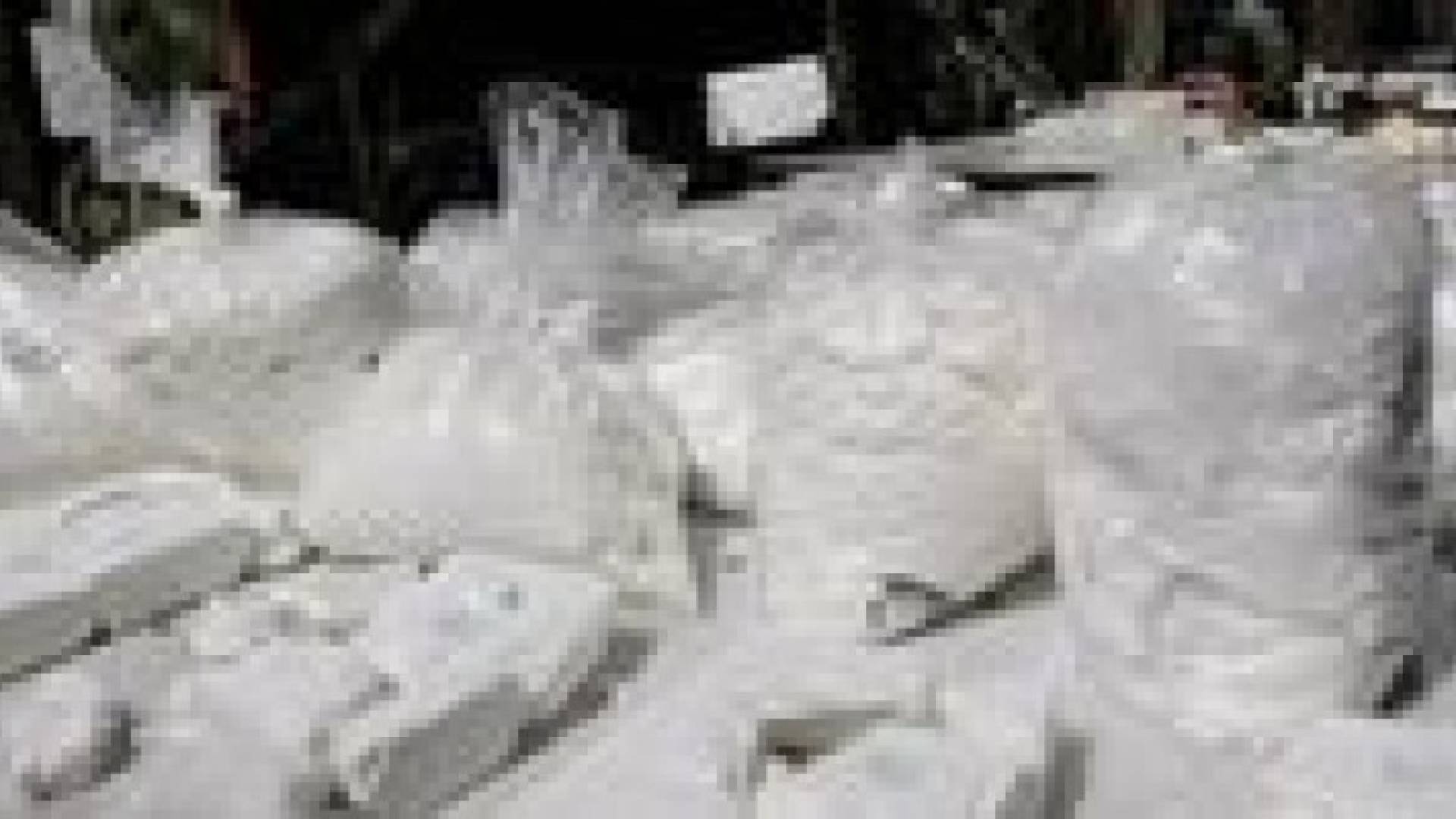 ضبط 10 كغم هيروين و 15 ألف حبة مخدرة في عمان