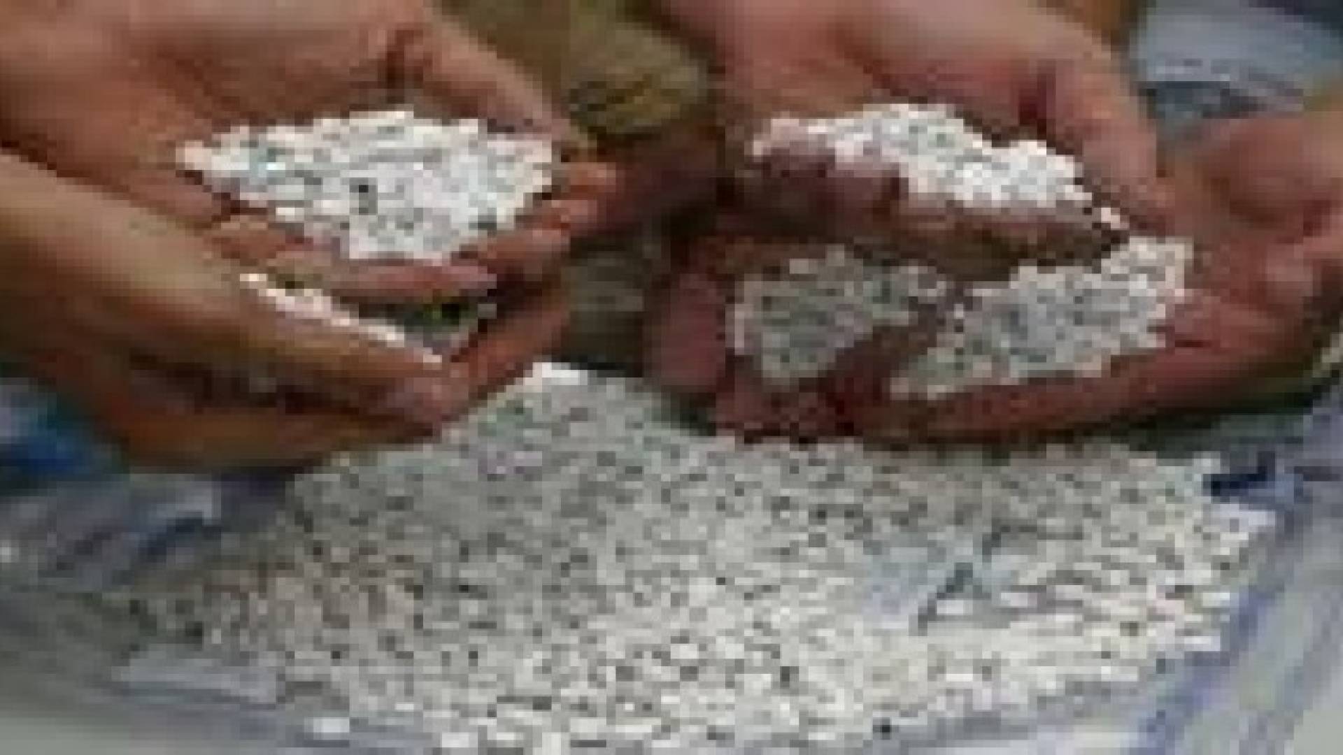 ضبط أكثر من 3 ملايين حبة مخدرة في مطار الكويت