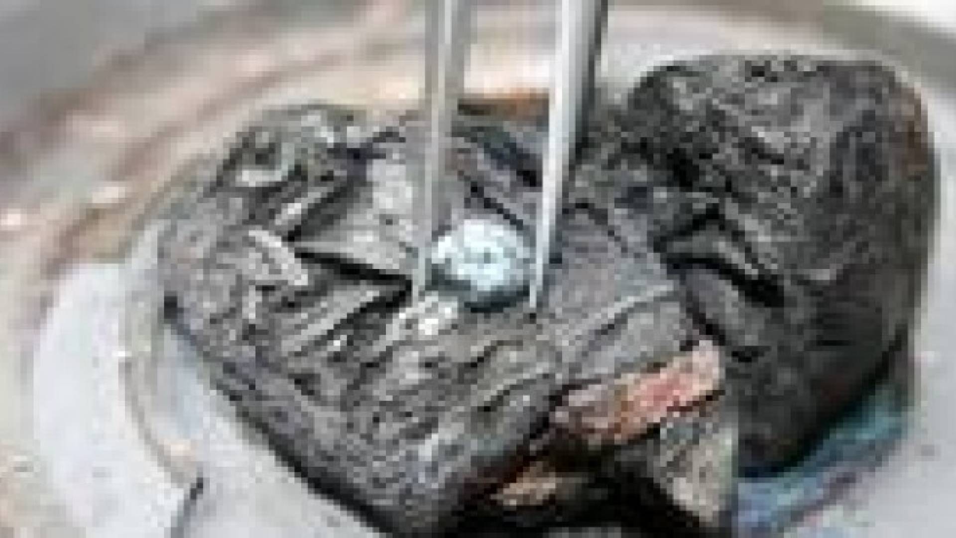 غربيون يحولون رماد موتاهم إلى قطع ألماس .. صور