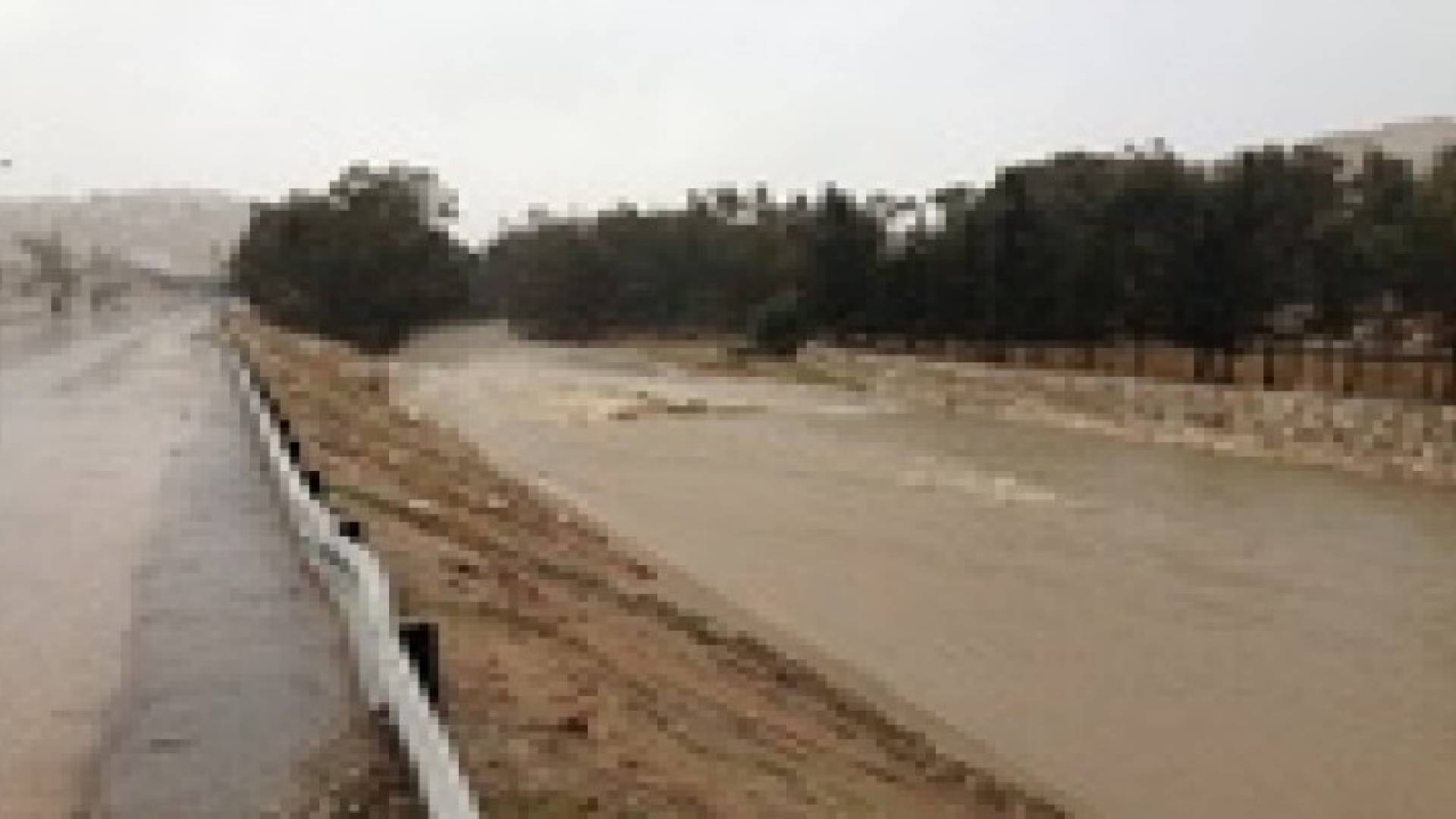 مجلس الوزراء يناقش إعادة تأهيل سيل الزرقاء ومعالجة الاثار البيئية الناجمة عنه