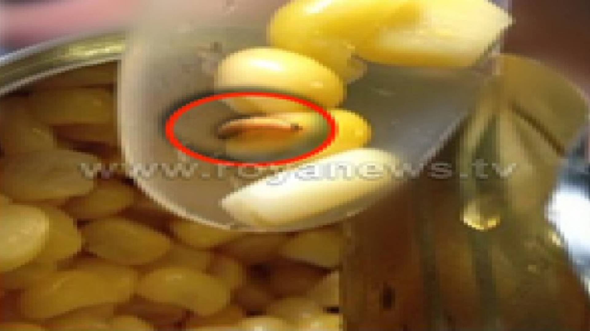 حشرات داخل أحد المنتجات المعلبة..صور