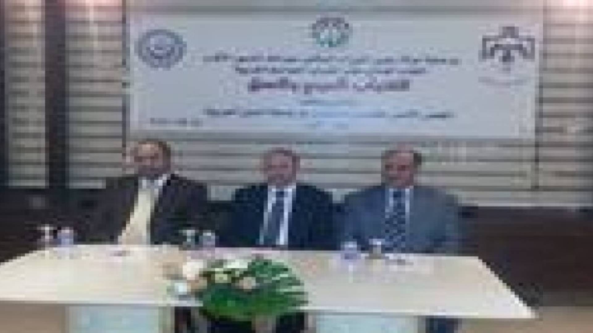 "الاعلى للشباب" يختتم لقاء الشباب العربي والعمل
