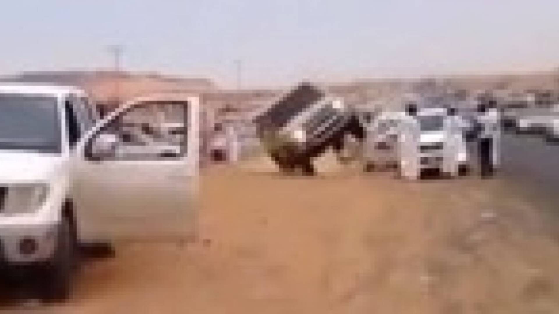 بالفيديو.. بهلوان يغامر بنفسه ويصدم شخصين بسيارته