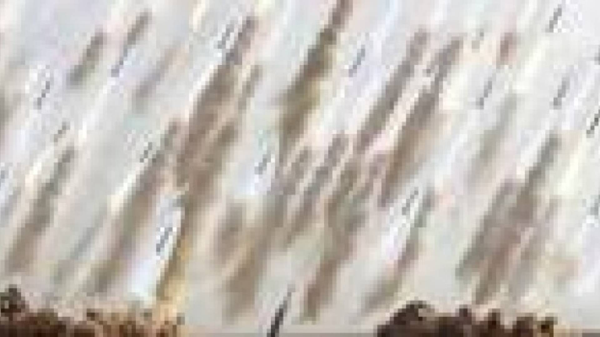 الاحتلال يتهم حماس بإجراء تجارب صاروخية