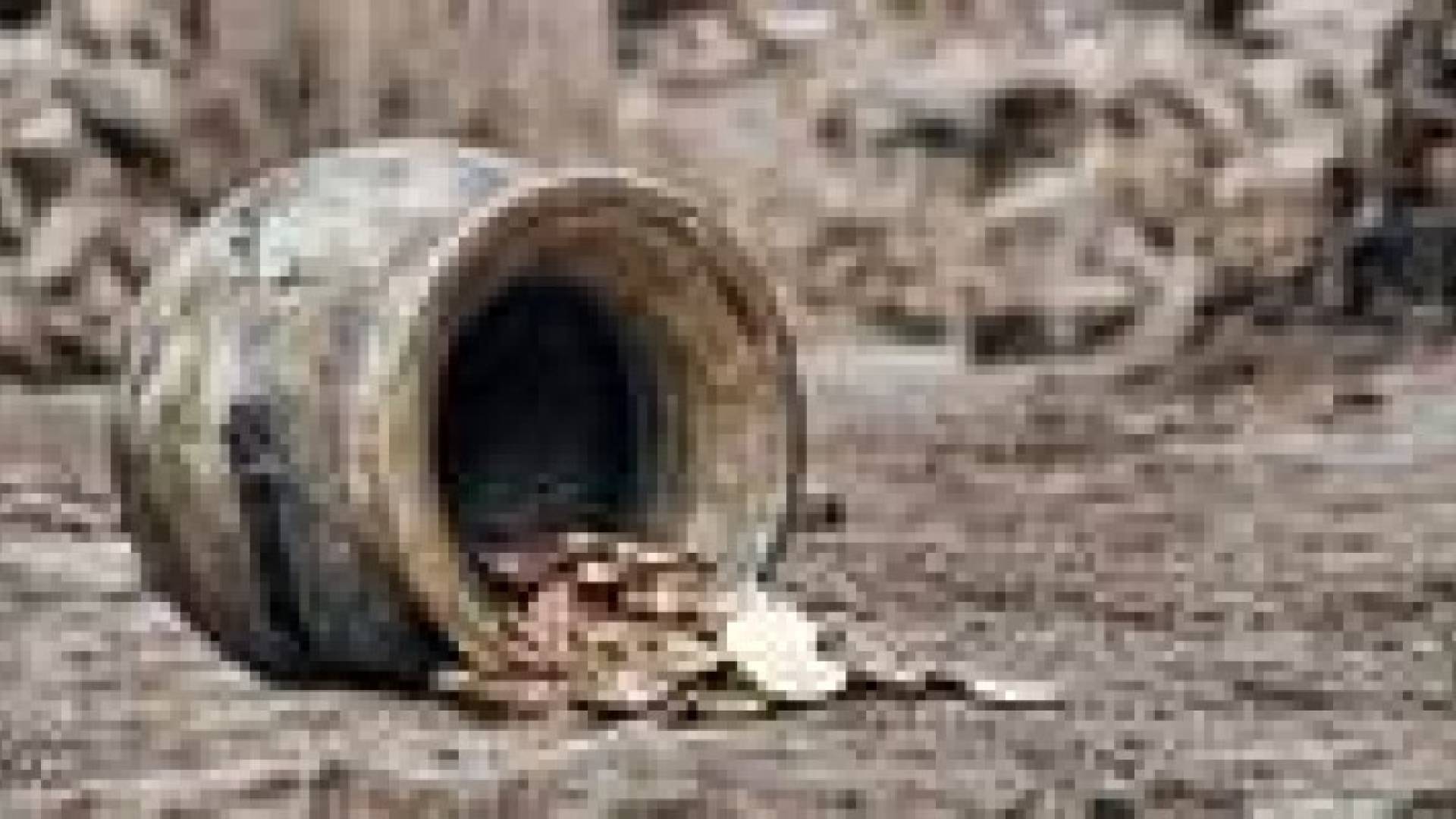 أوهموه بالذهب واحتالوا عليه بـ (160) ألف دينار