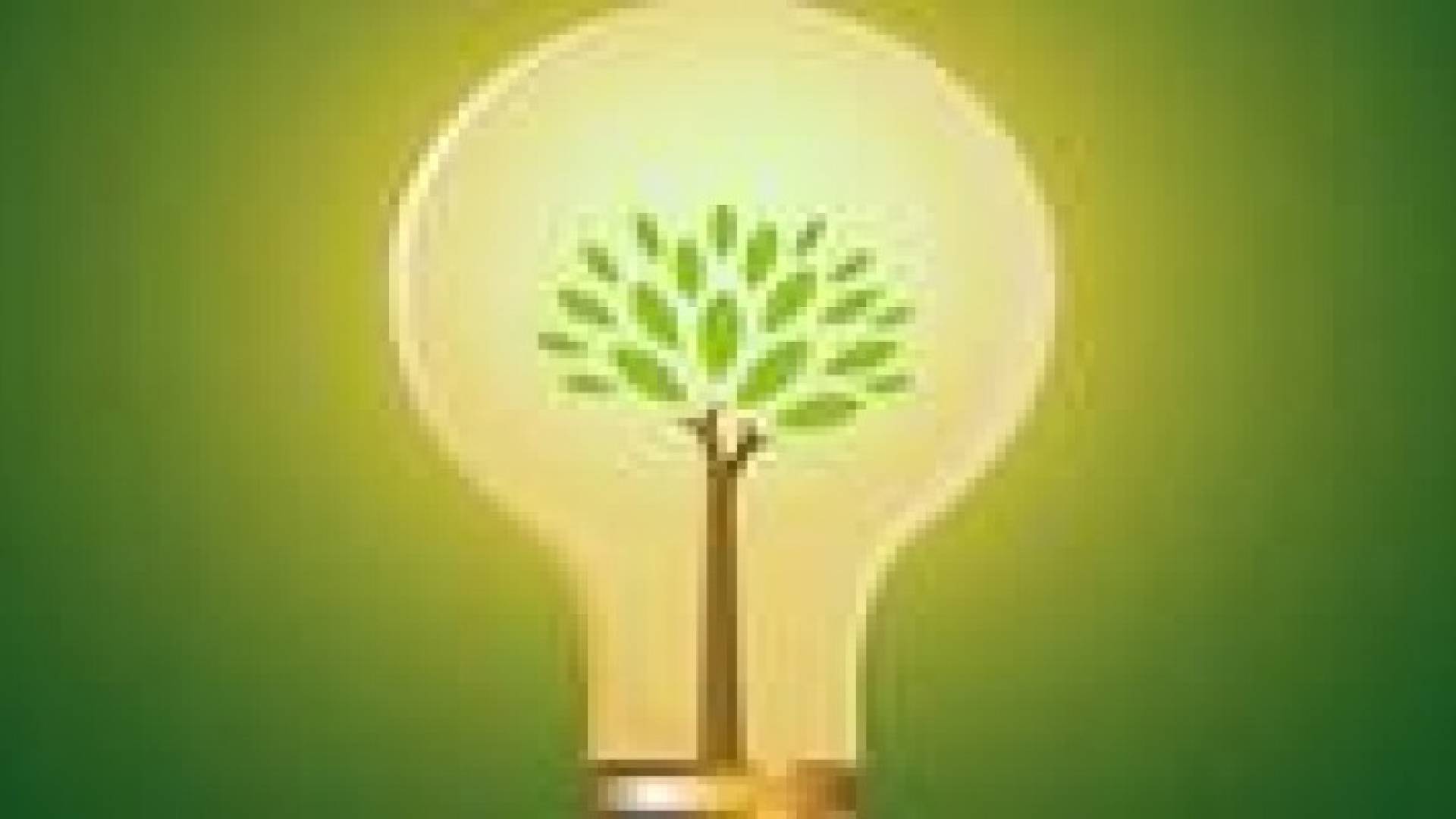 مراد: ترشيد استهلاك الطاقة سيحسن مسار التنمية الاقتصادية بالاردن