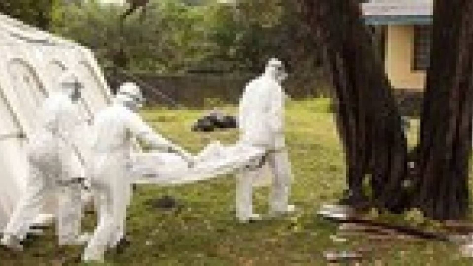 وفيات "إيبولا" ترتفع إلى 4971 والإصابات تتجاوز 10 آلاف