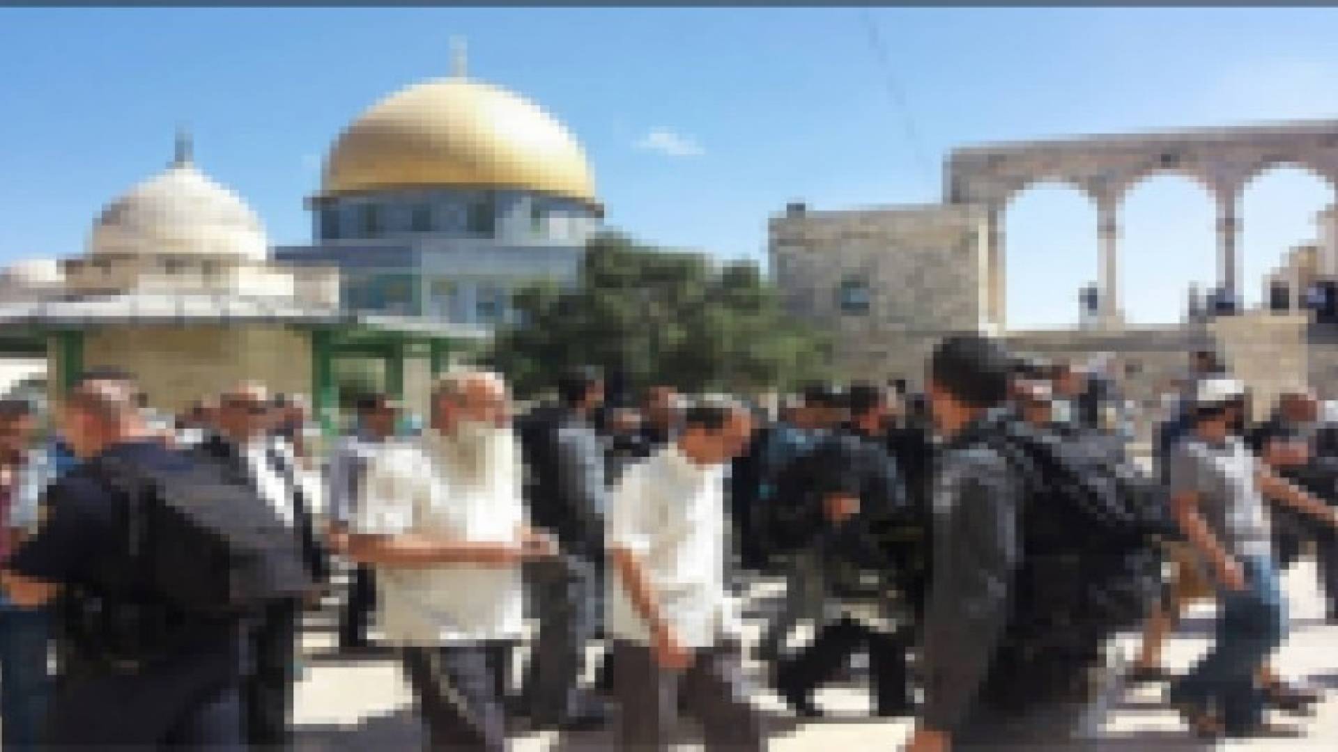 40 مستوطنا يقتحمون الأقصى والشرطة الإسرائيلية تعتدي على مسن فلسطيني حاول الدخول