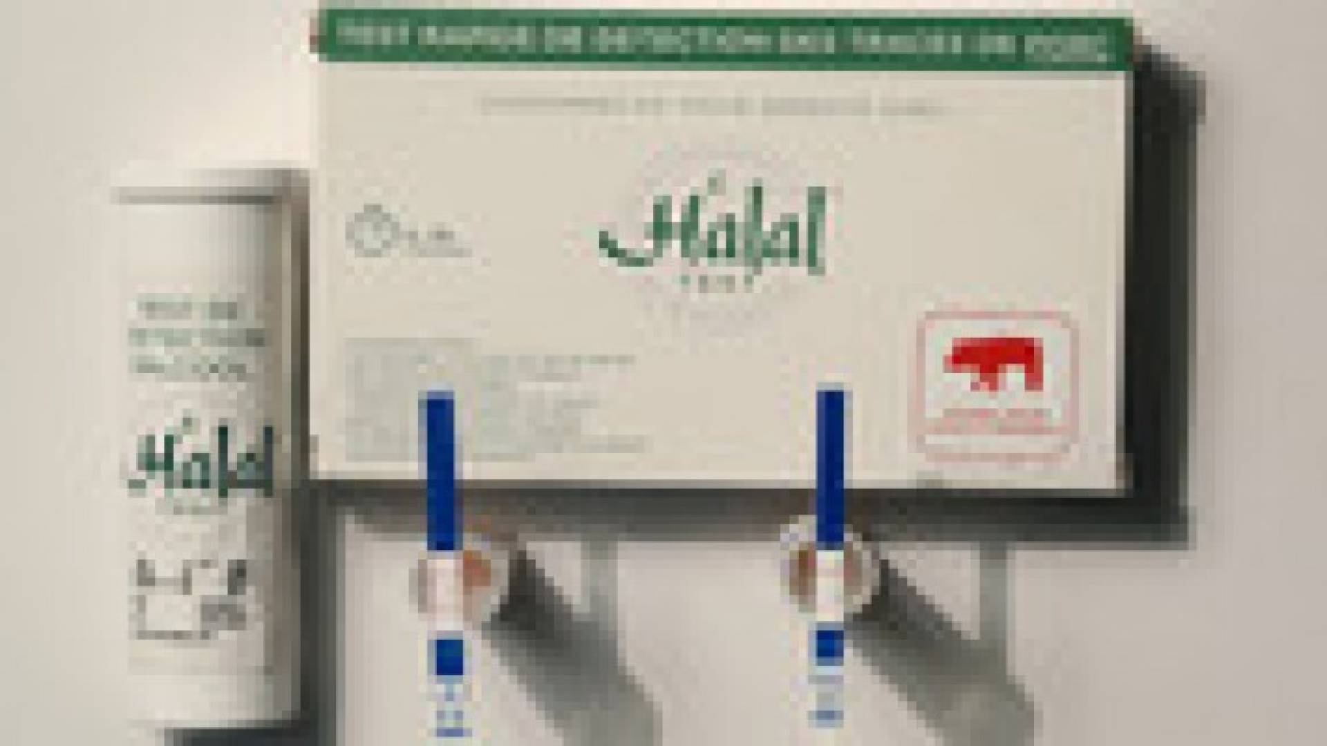 شابان فرنسيان يقترحان آلية جديدة للكشف عن آثار الخنزير في المواد الغذائية