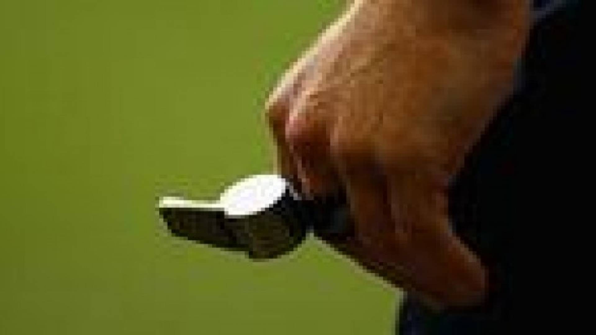 اعتماد قائمة الحكام الدولية لكرة القدم لعام 2015