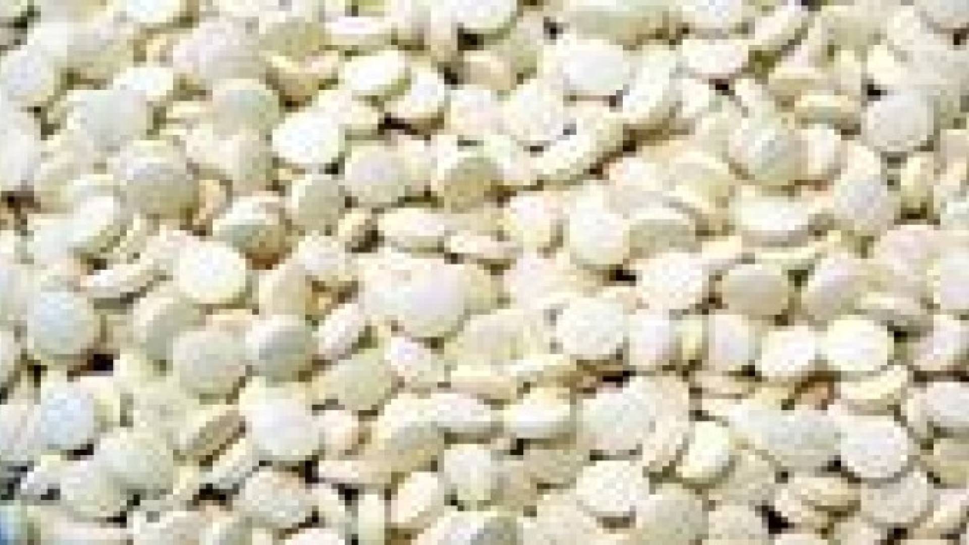 محاكمة خمسينية سعودية بتهمة تصدير كبتاجون