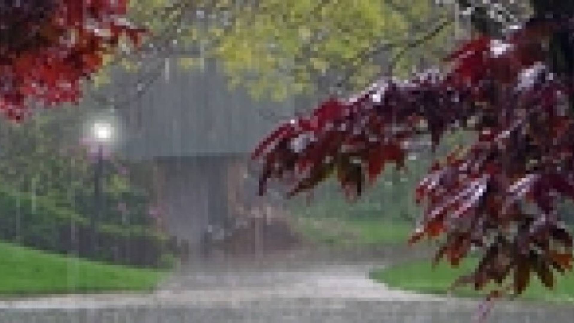 تجدد فرصة الأمطار المتفرقة خلال الأيام القادمة