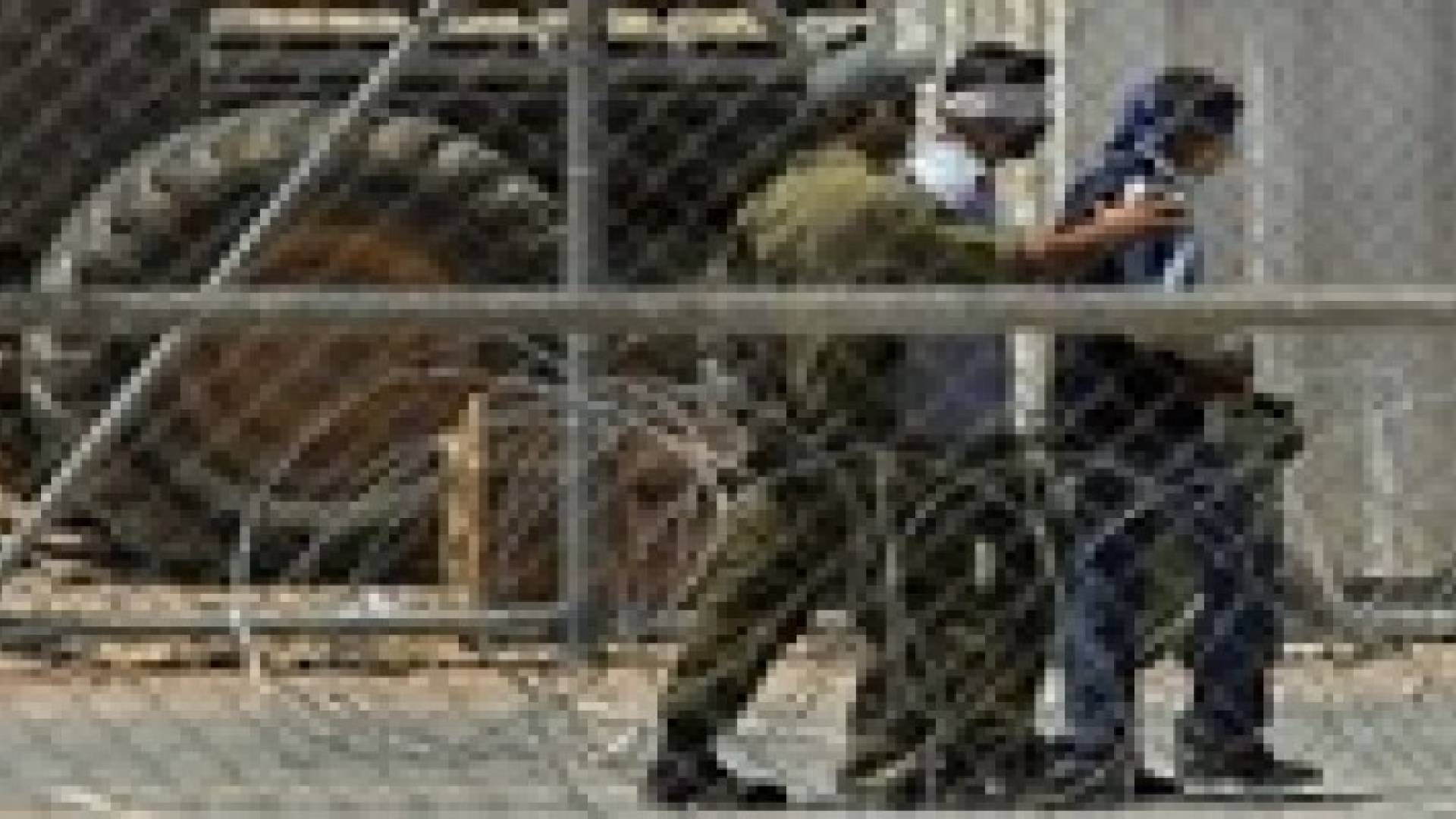 إسرائيل تلغي زيارات أهالي أسرى غزة المقررة الاثنين