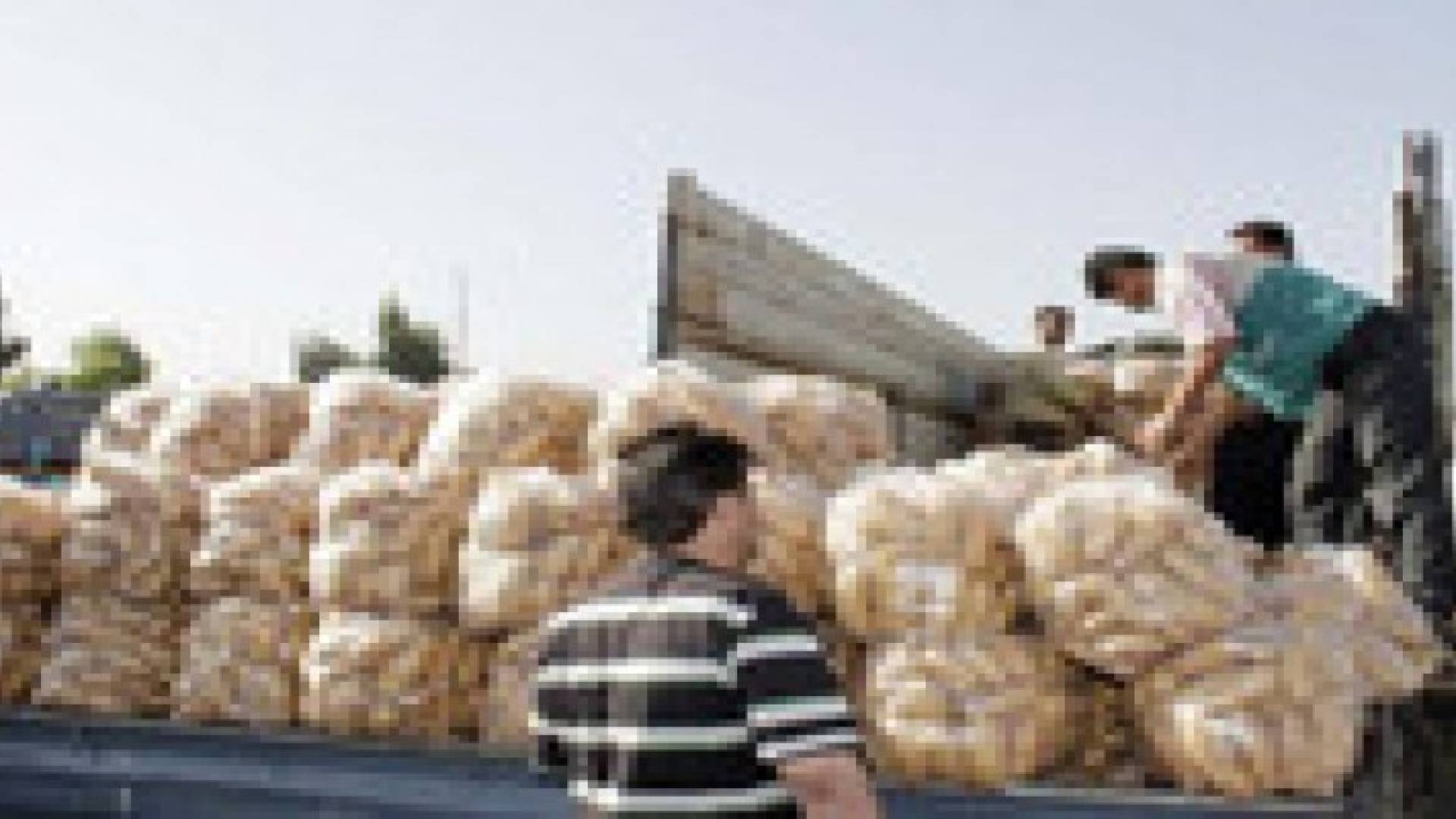 الاتفاق على دخول برادات البطاطا حتـى العاشـر مـن الشهـر الجــاري