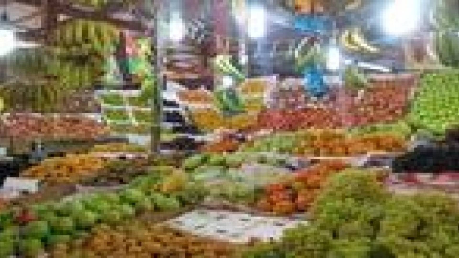 ارتفاع ملحوظ على بعض اصناف الخضار في السوق المركزي