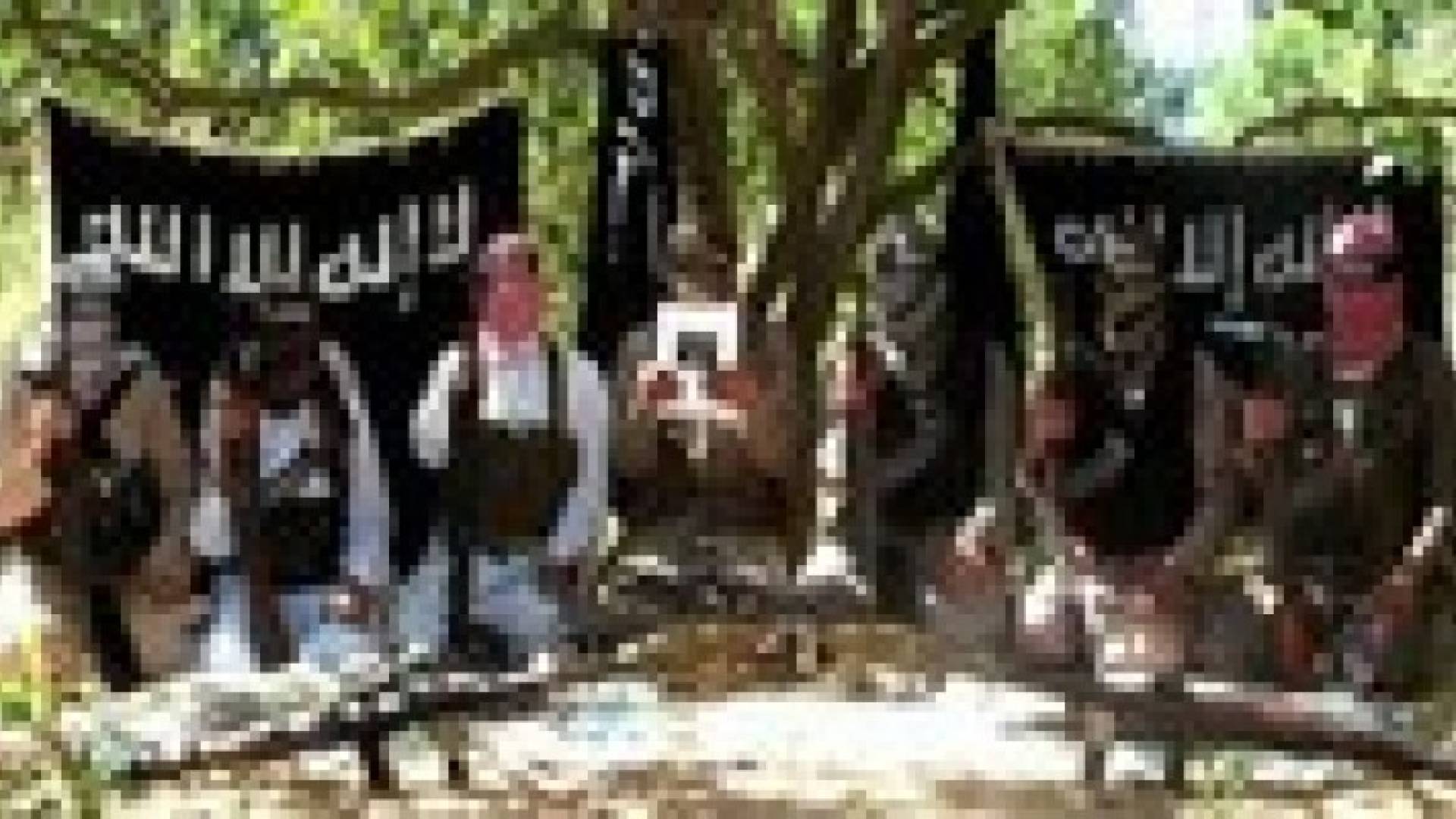 "أنصار بيت المقدس" تنفي مبايعتها لـ "داعش"