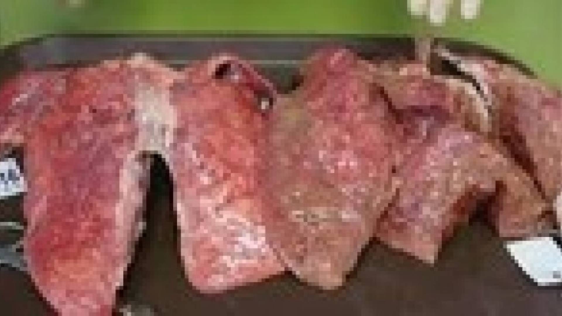 بعد هذا الفيديو...لن تدخن في حياتك!