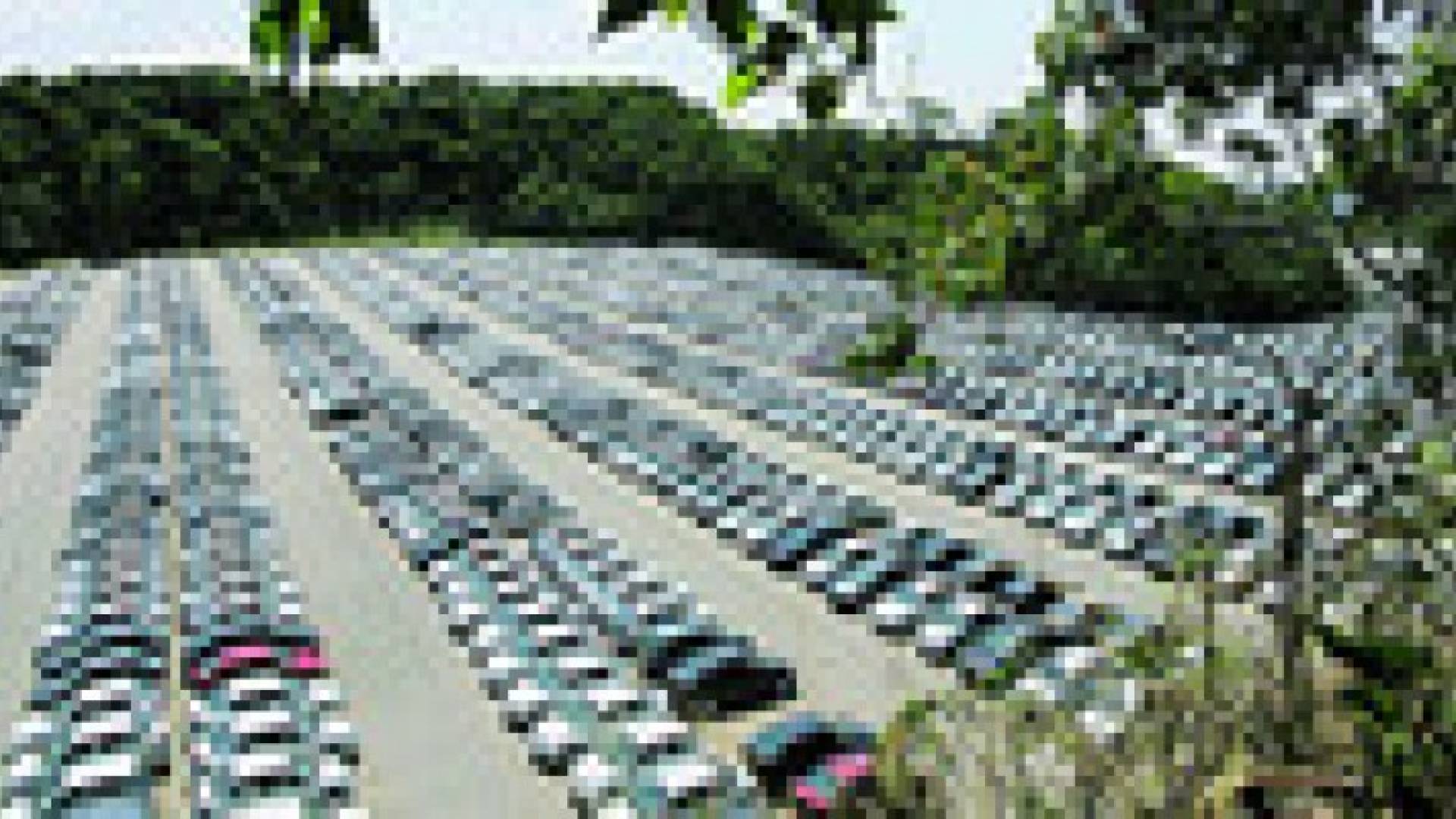 "المناطق الحرة" تخلص 16 ألف سيارة "هايبرد"