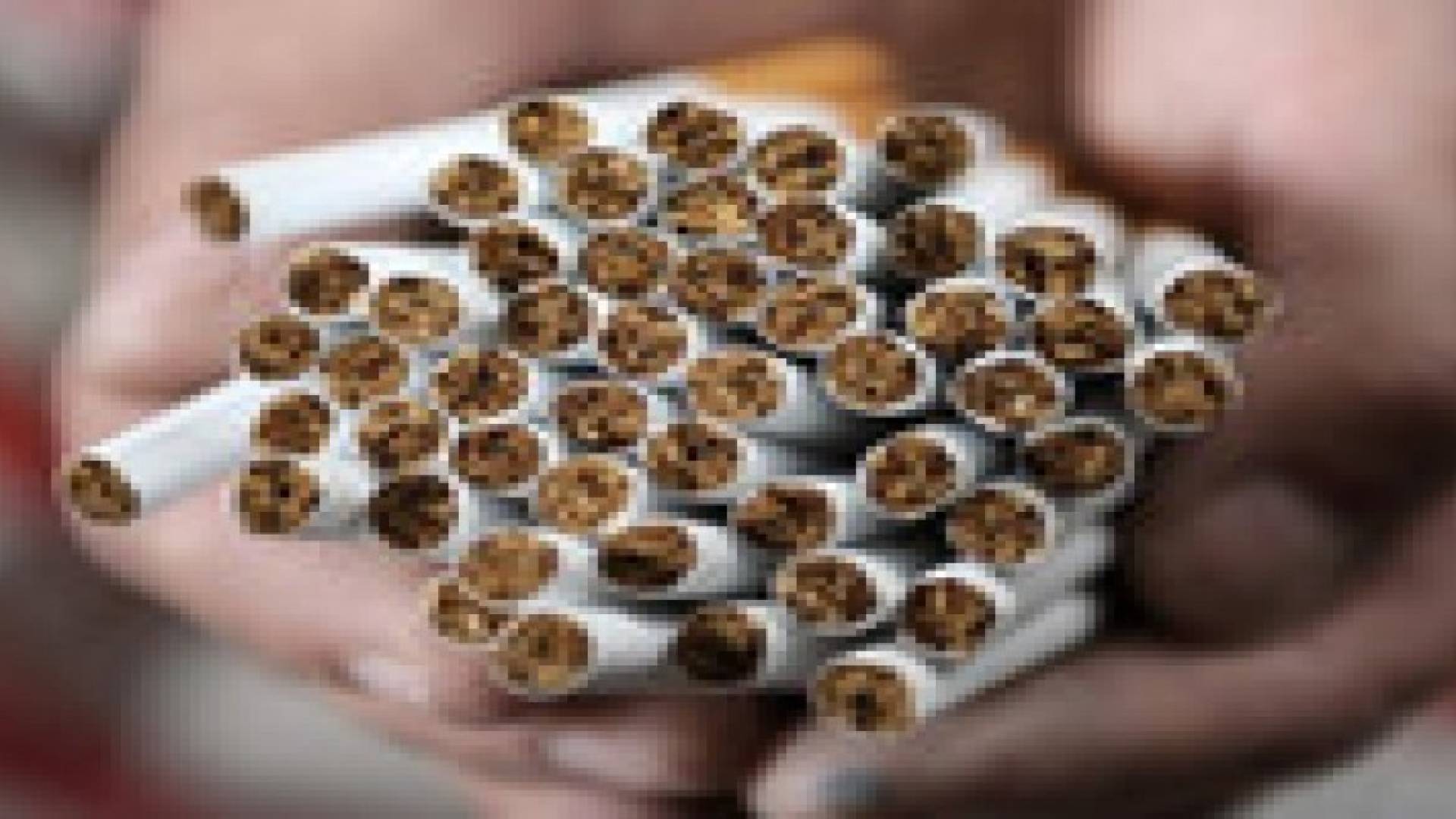 الجمــــارك تحبط تهريب 1165 كرتونة سجائر