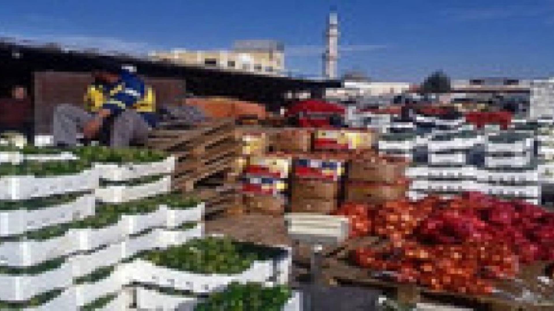 404 مليون دينار قيمة صادرات الخضار والفواكه خلال 9 شهور