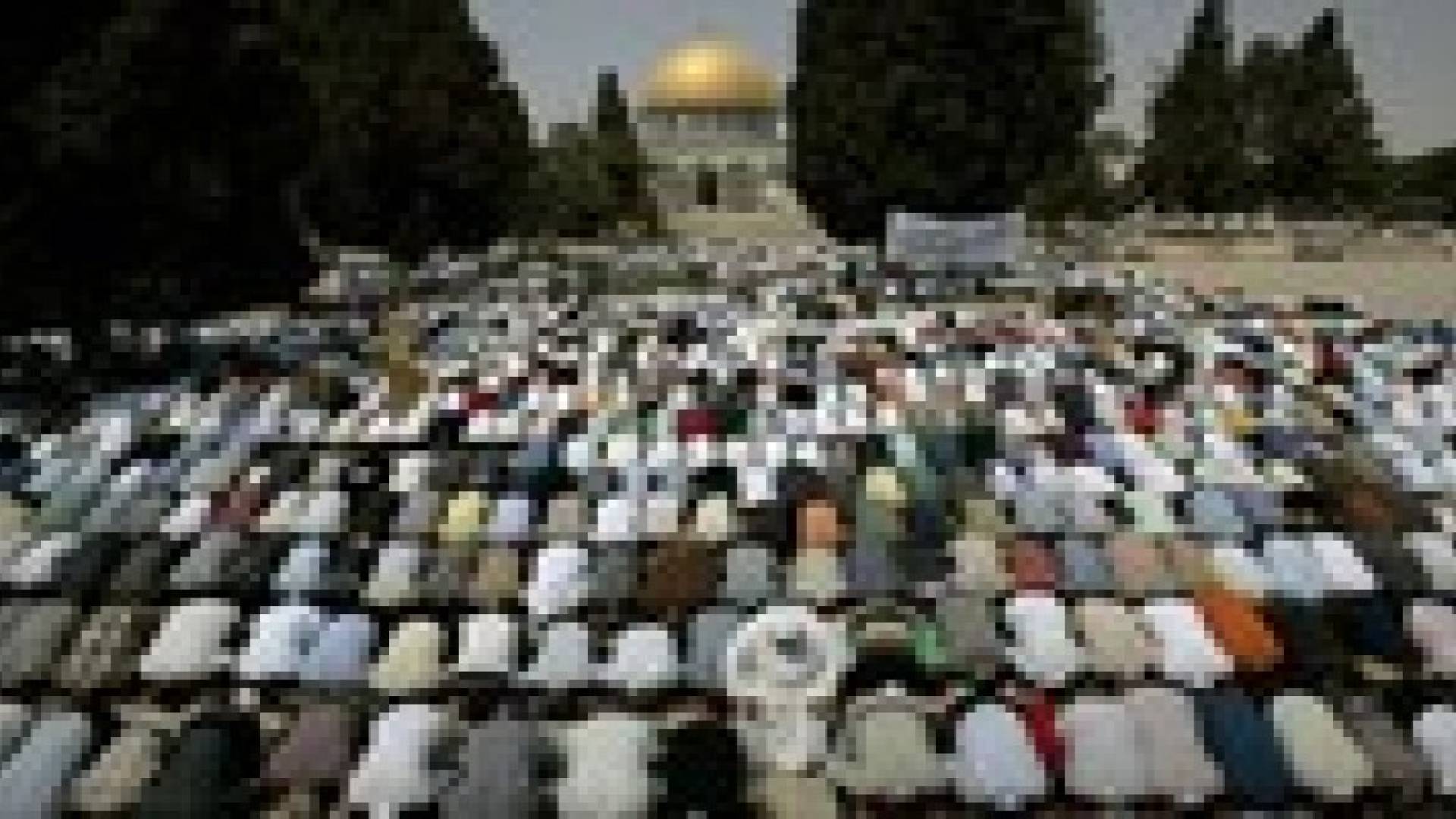 الاحتلال يسمح لجميع الأعمار بالصلاة في "الأقصى" اليوم
