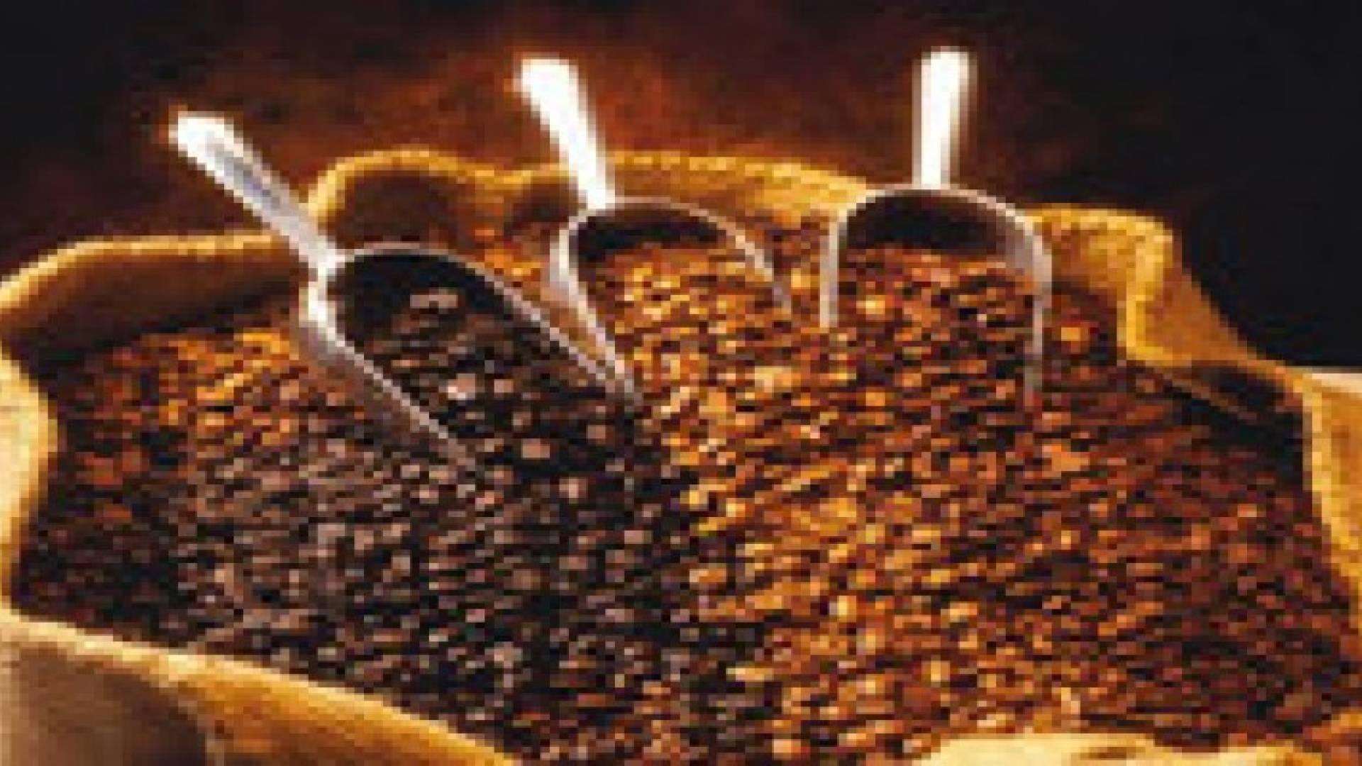 القهوة المحمصة تحتوى على 19 مادة مسرطنة