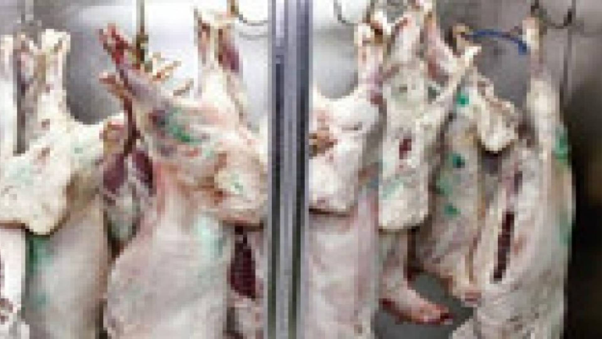 تحذيرات من بيع اللحوم المستوردة باعتبارها بلدية