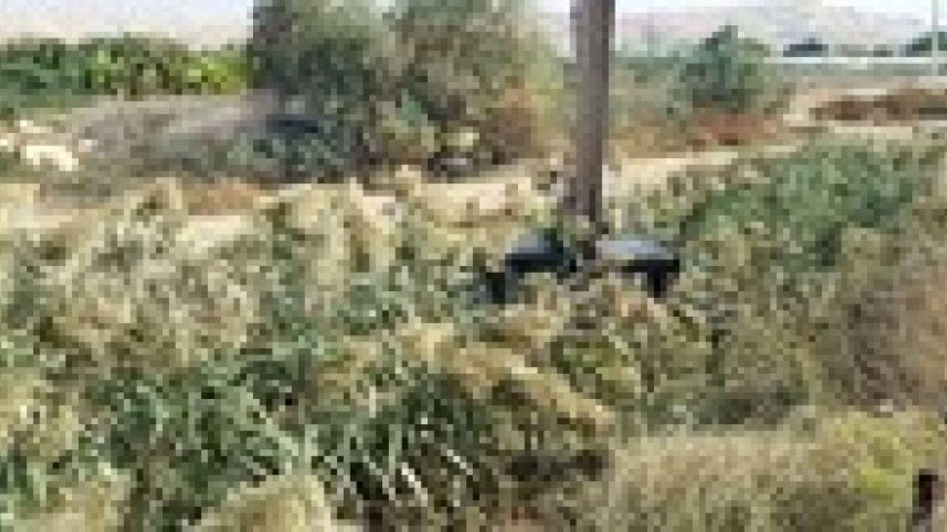 سلطة وادي الأردن تباشر بتنظيف قناة الملك عبدالله