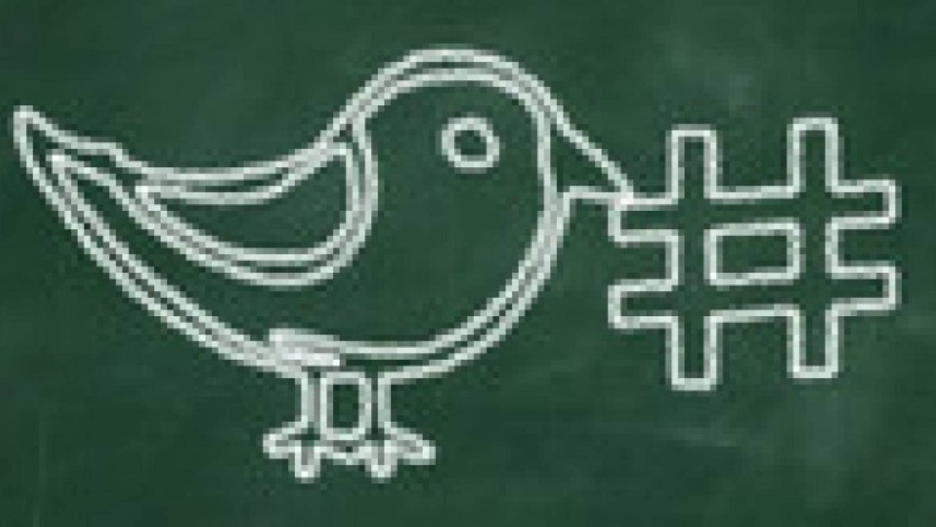 تويتر تتيح كامل أرشيفها من التغريدات العامة لعموم المستخدمين