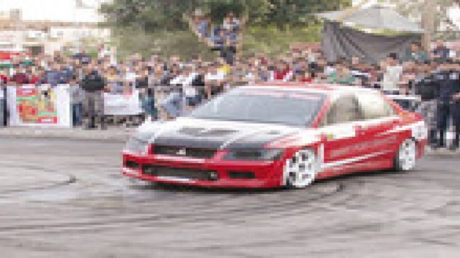 حصان يتسبب بإلغاء سباق السرعة في العقبة