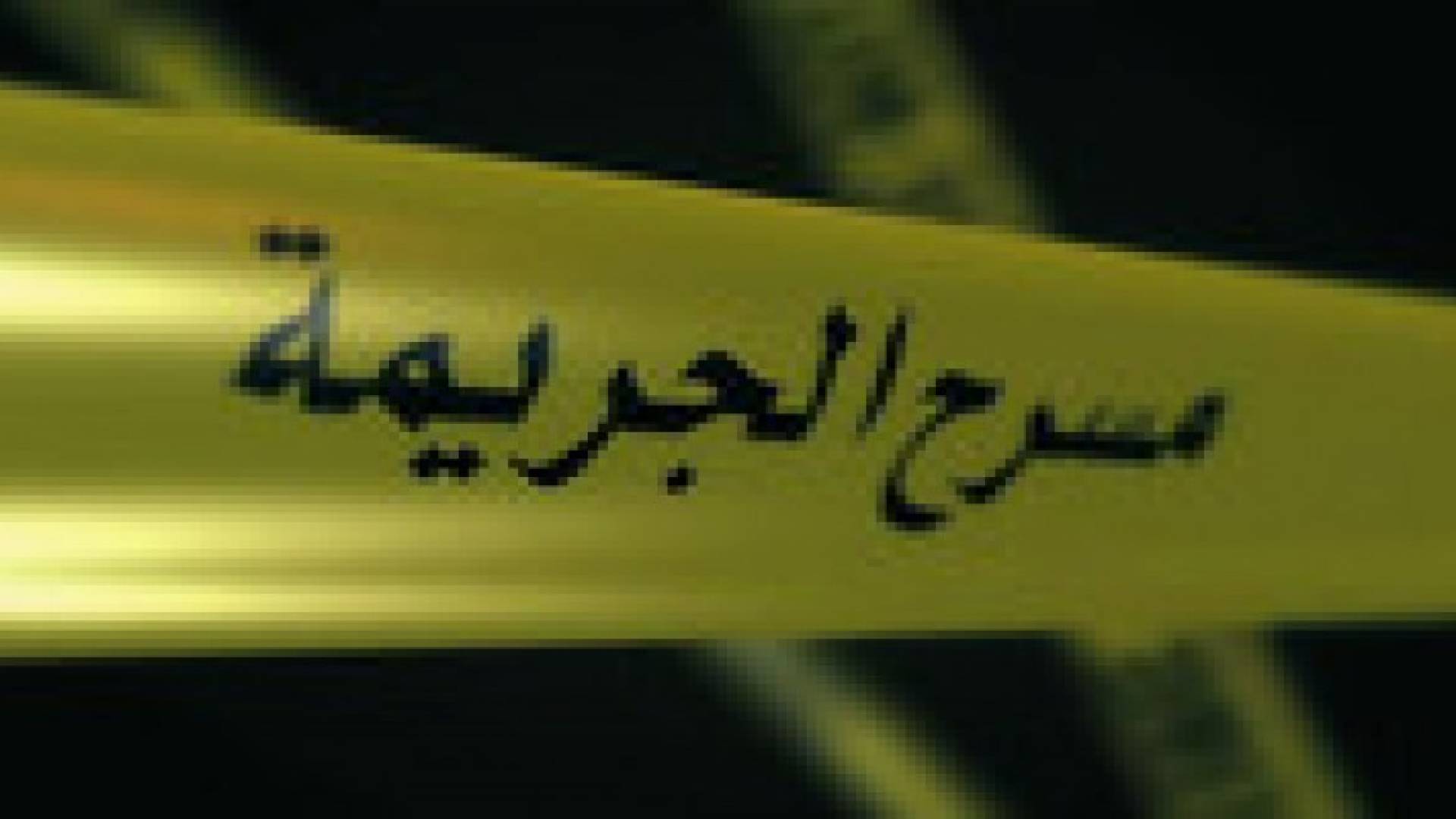 لجنة لتقصي الحقائق بجريمة " قاتلة أطفالها " في طبربور