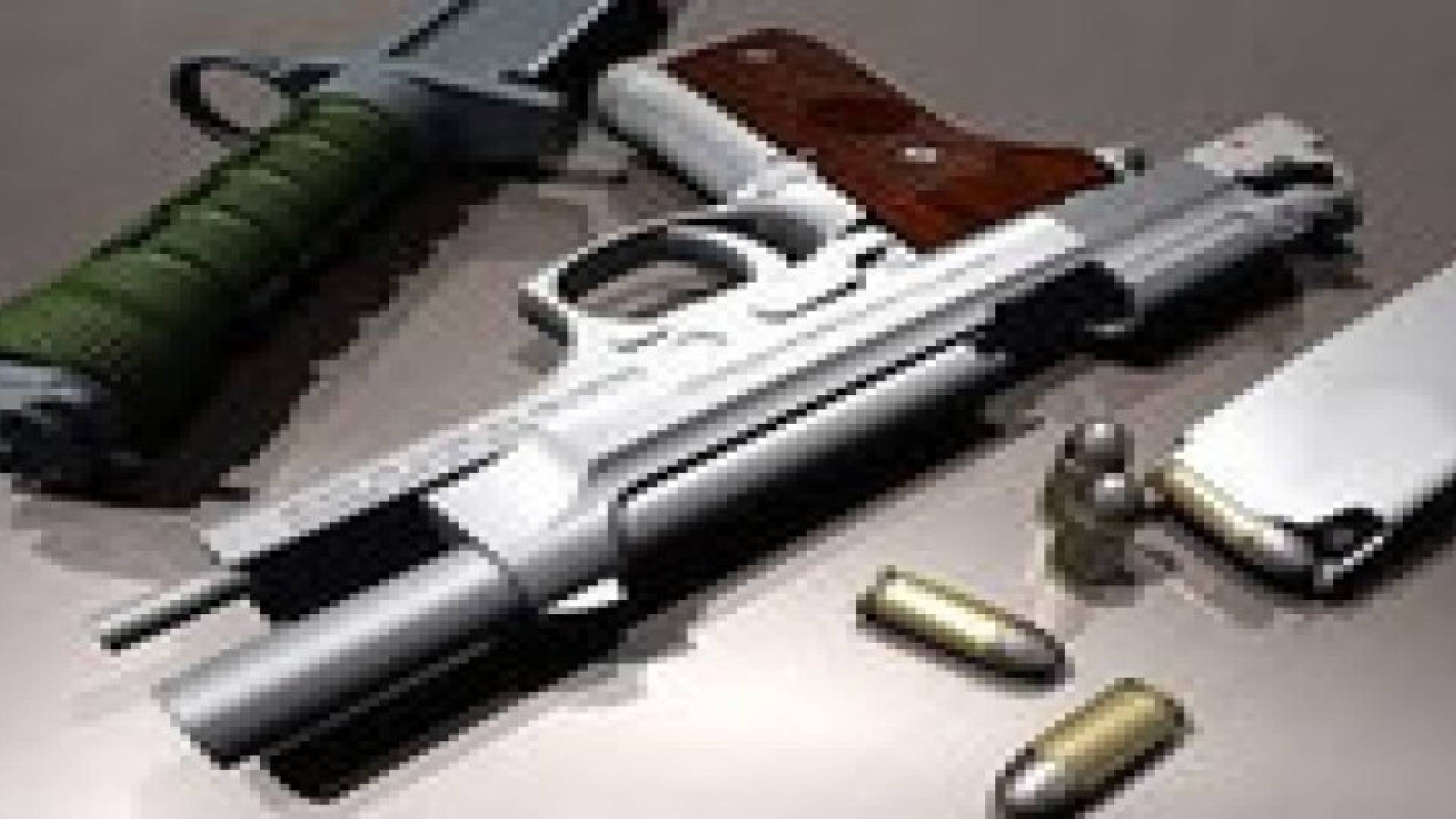 تضامن : الأسلحة داخل المنازل ترفع من إحتمالية قتل النساء بنسبة 272%