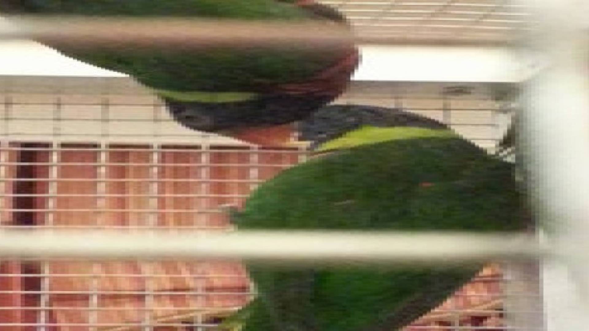 المئات يزورون المعرض الأول لطيور الزينة.. صور