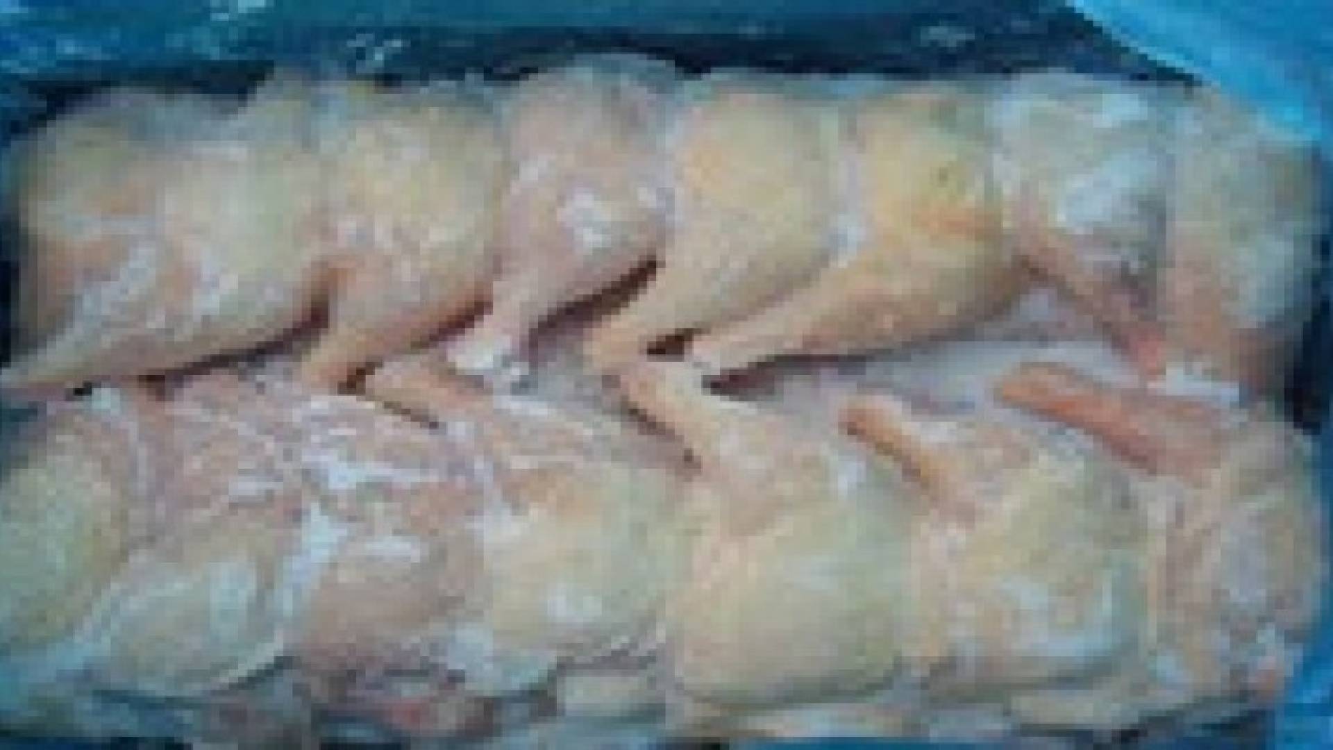 نقابة تجار المواد الغذائية تدعوا وزارة الزراعة بالتراجع عن قرار منع استيراد الدجاج