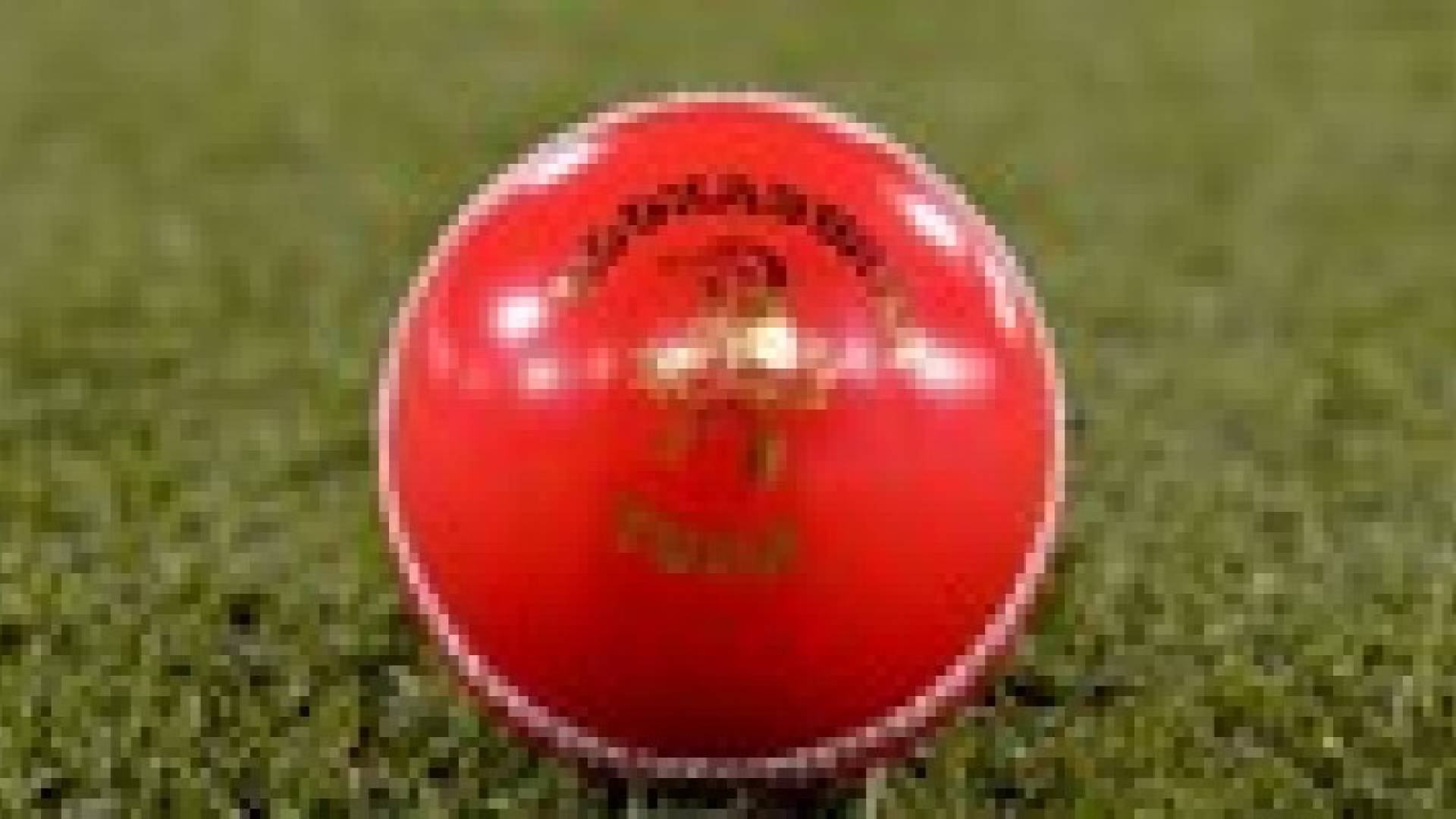 كرة كريكت تقتل حكما في إسرائيل