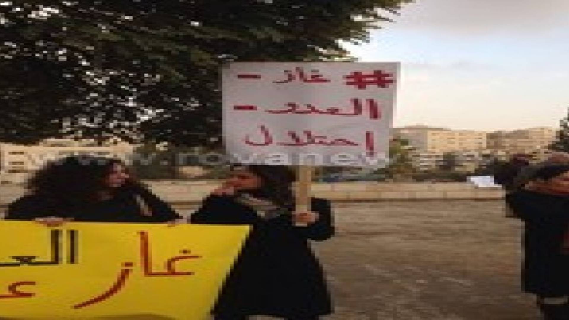 اعتصام رافض لـ " الغاز الإسرائيلي" امام مجلس النواب .. صور