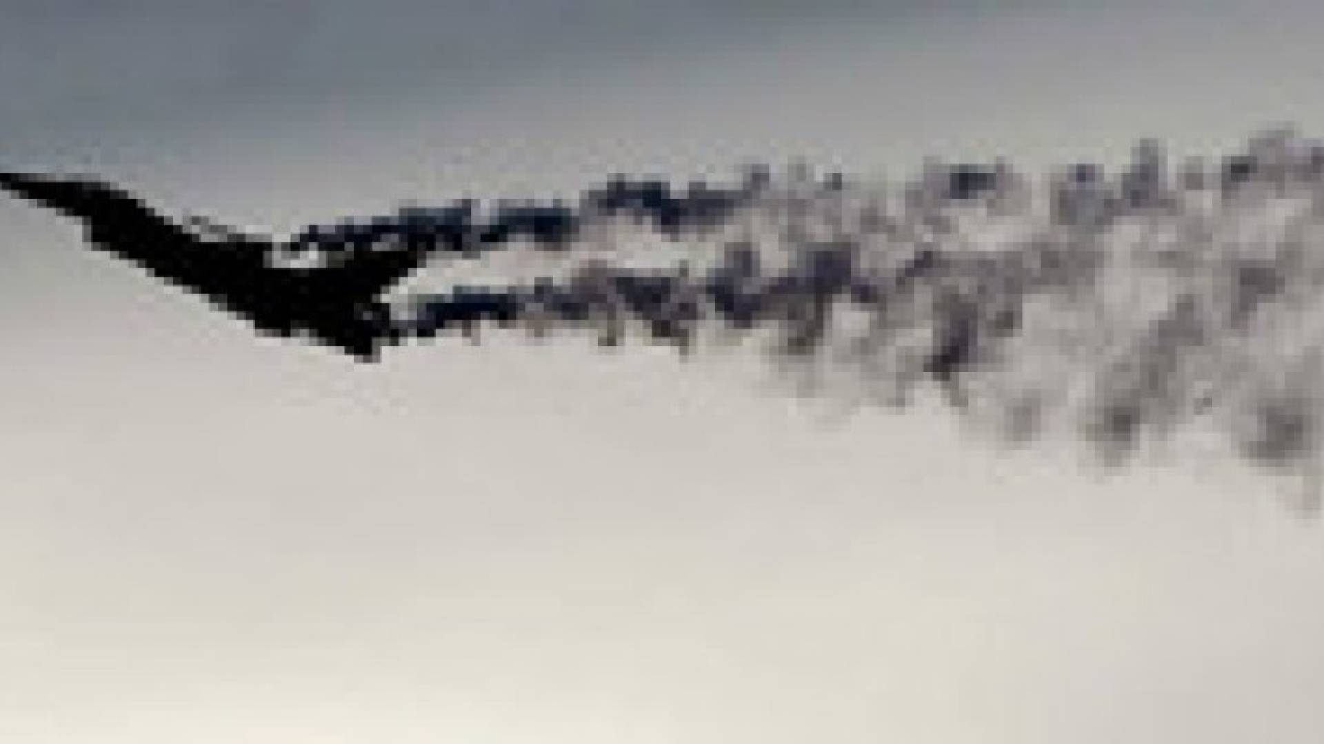 مصرع طيار أمريكي في تحطم مقاتلة من طراز F-16 في الاردن