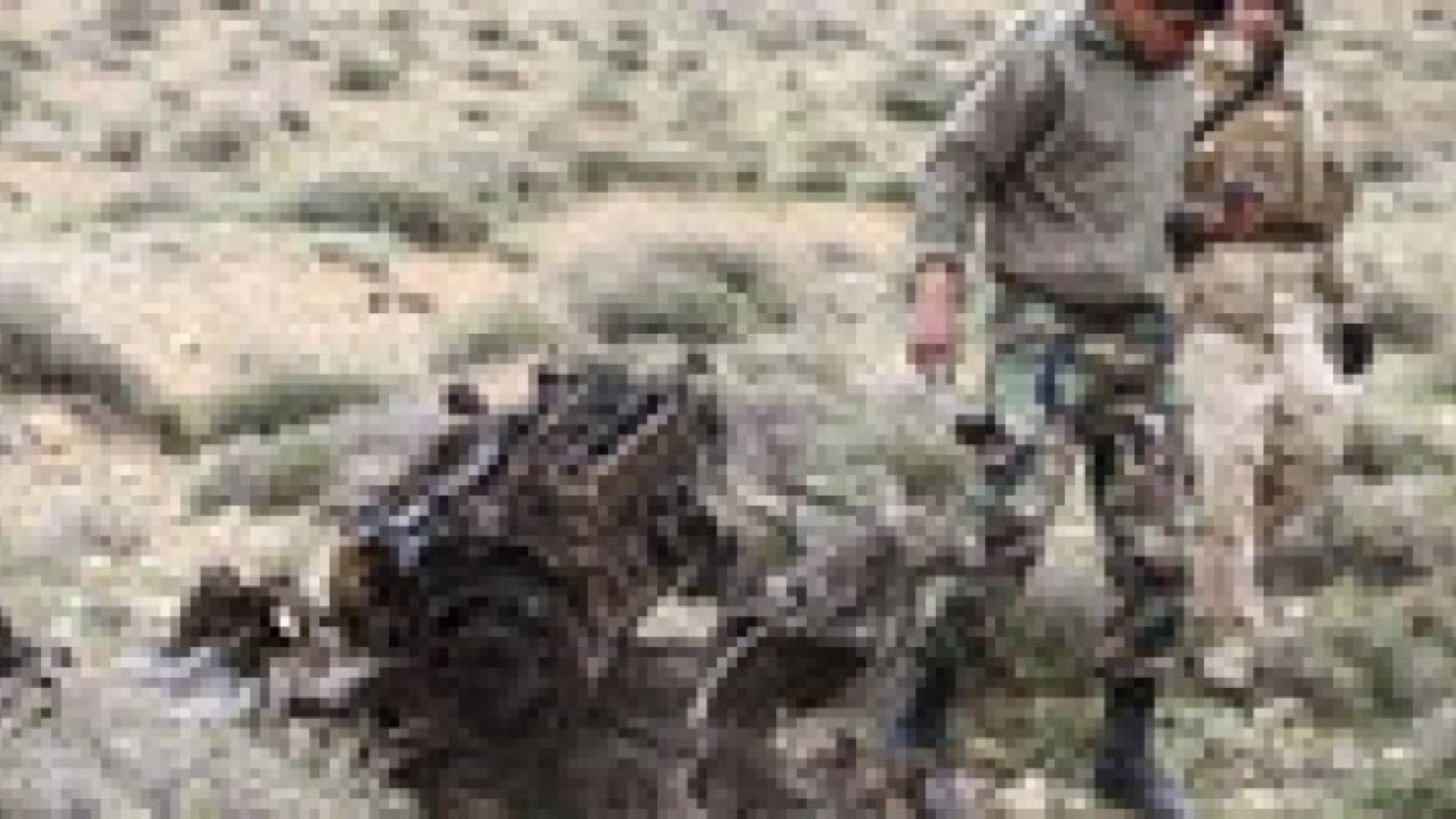 سقوط 7 قتلى من الجيش اللبناني في كمين على الحدود مع سوريا