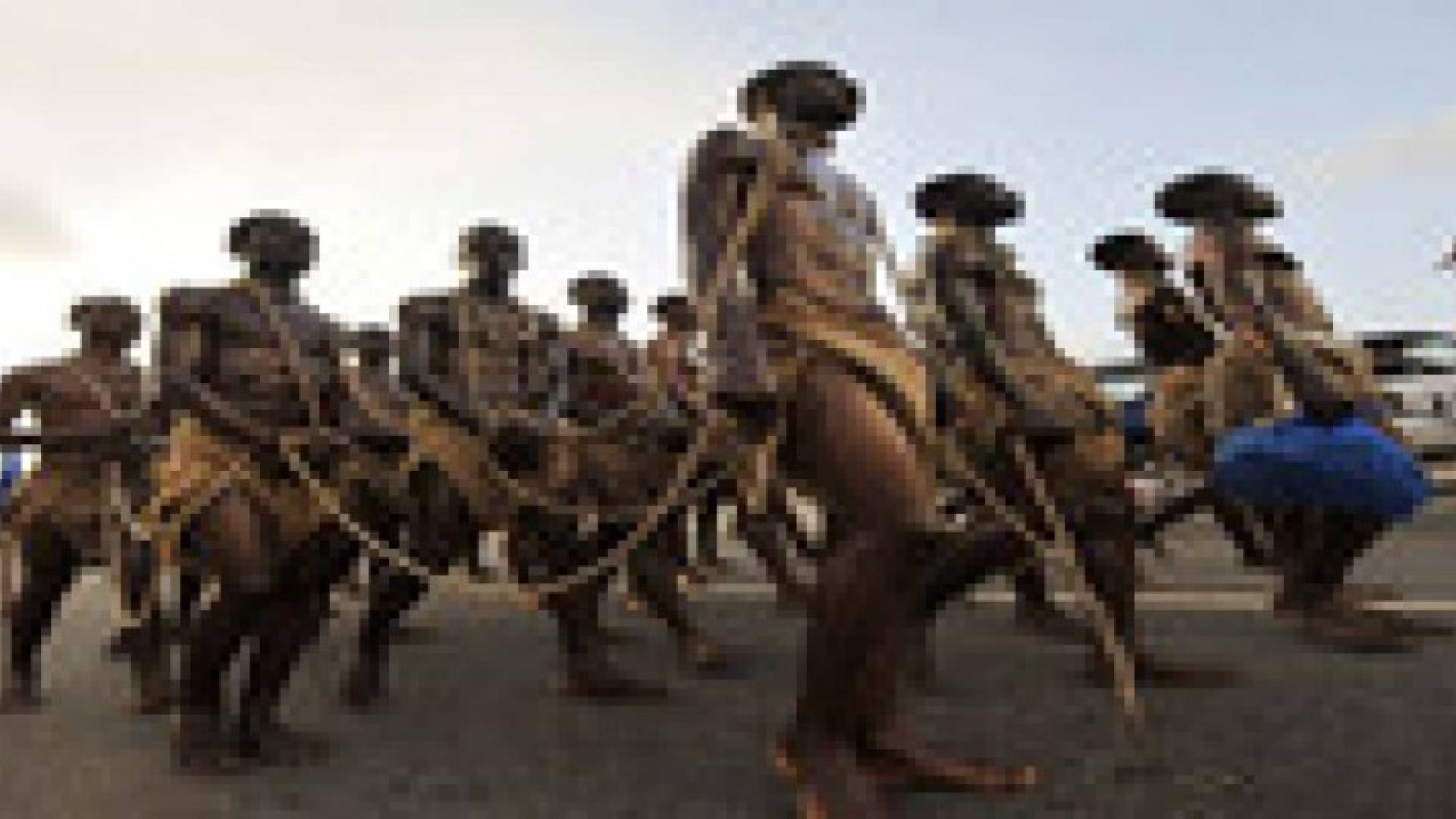 21 مليون شخص يعاني من العبودية في العالم