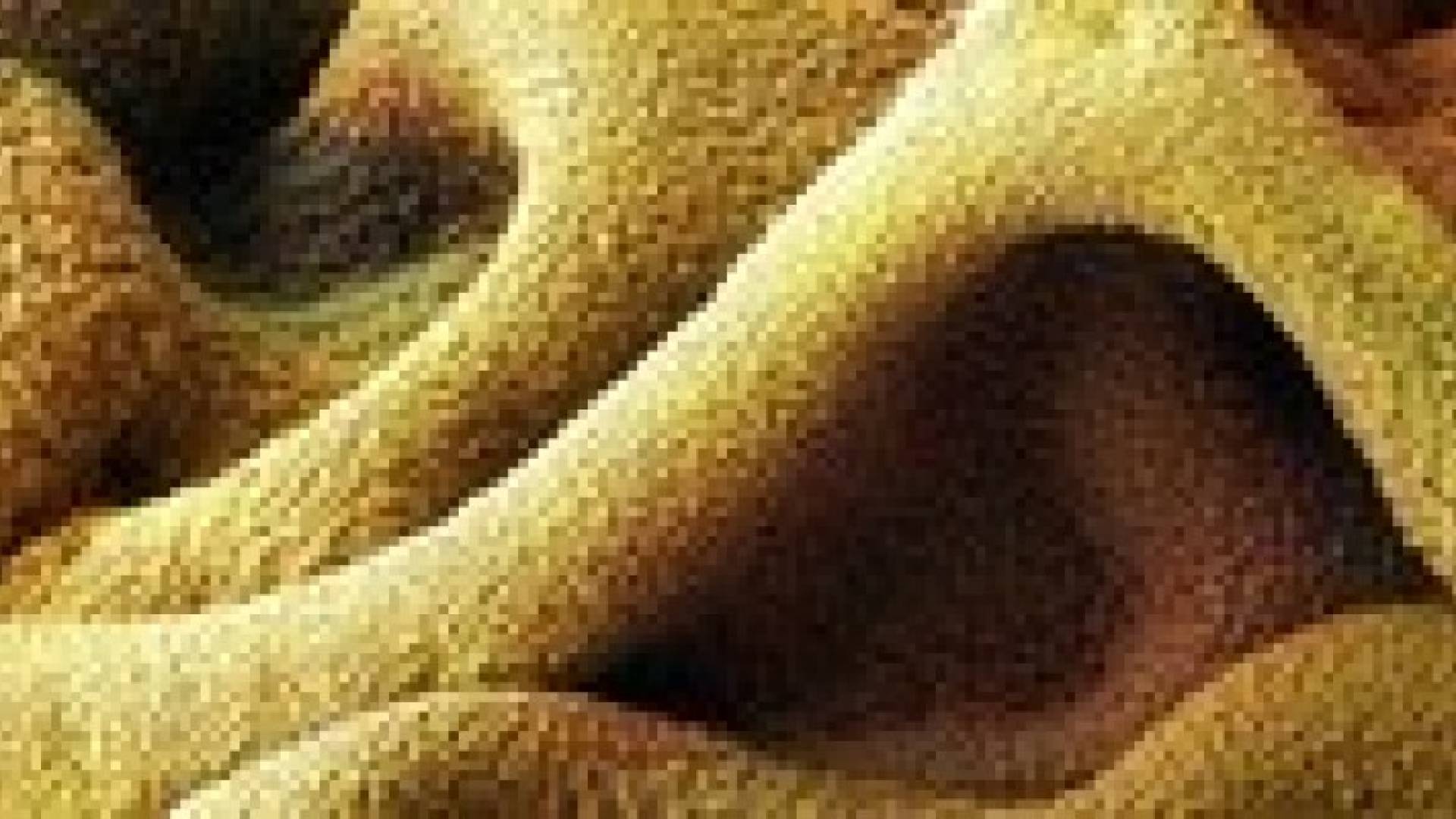 علماء يطورون صمغا جديدا "يمكن استخدامه في خياطة الجروح"